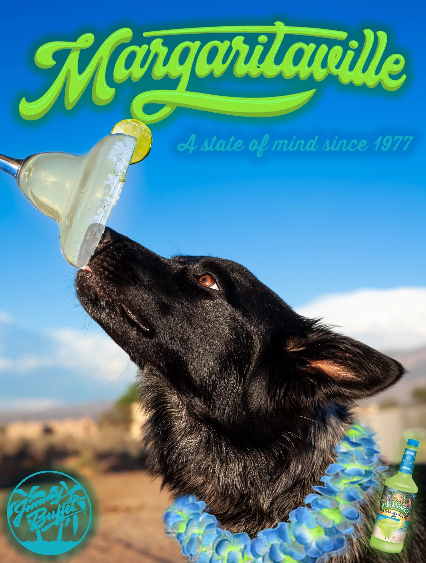 MARGARITAVILLE.jpg