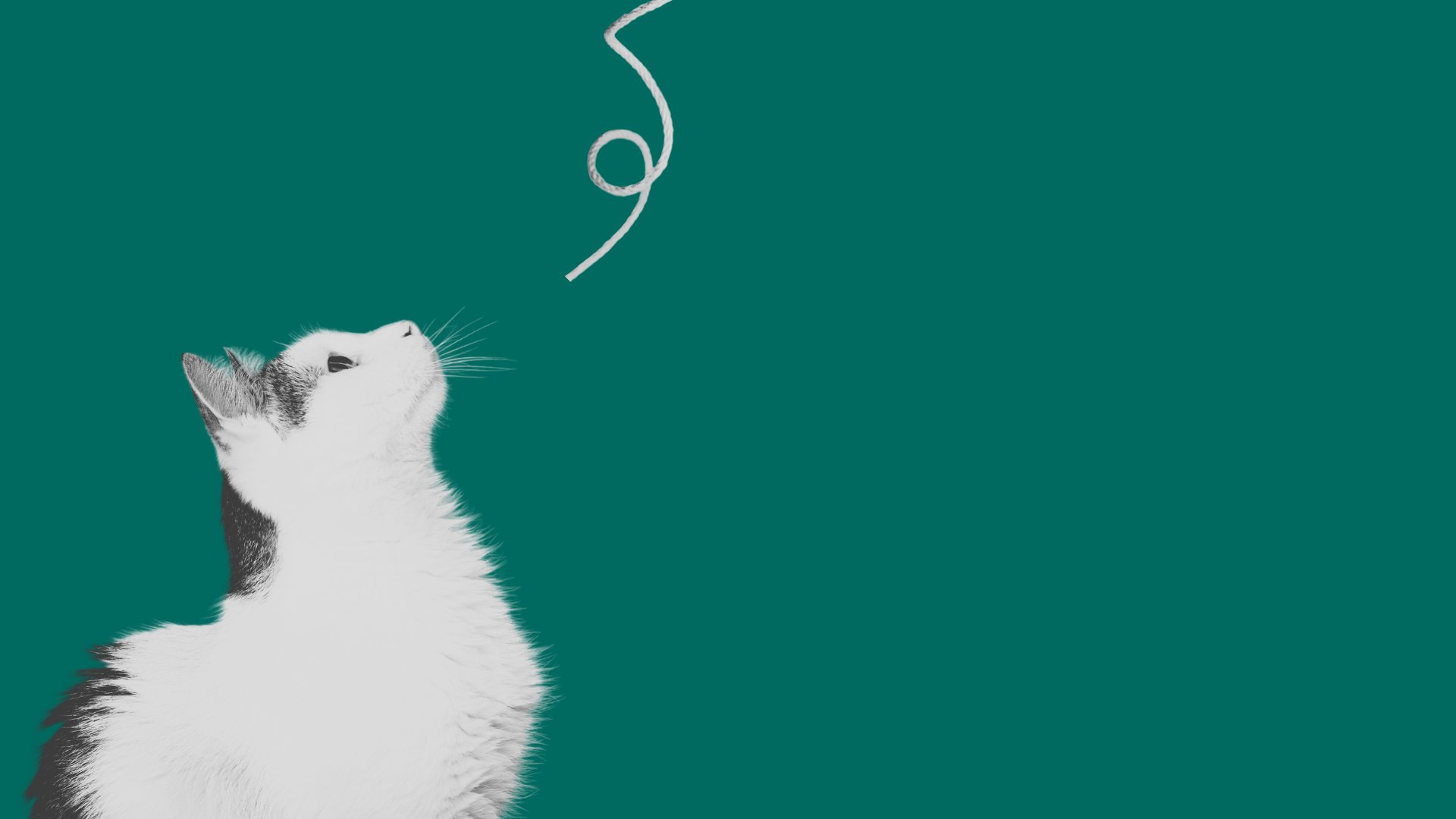 De customer journey van consultancy? 