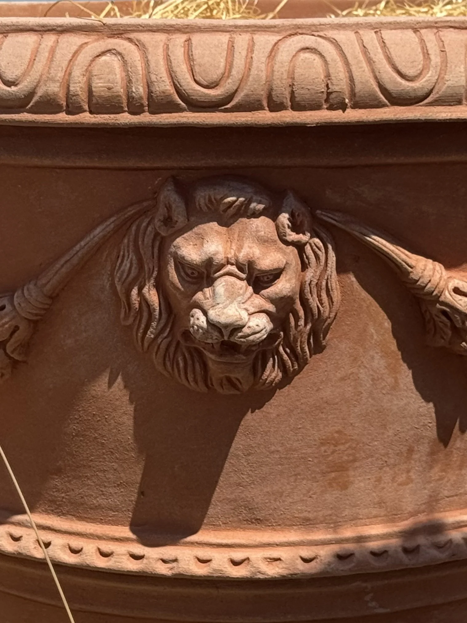 Vaso Con Teata Leone 1.jpeg