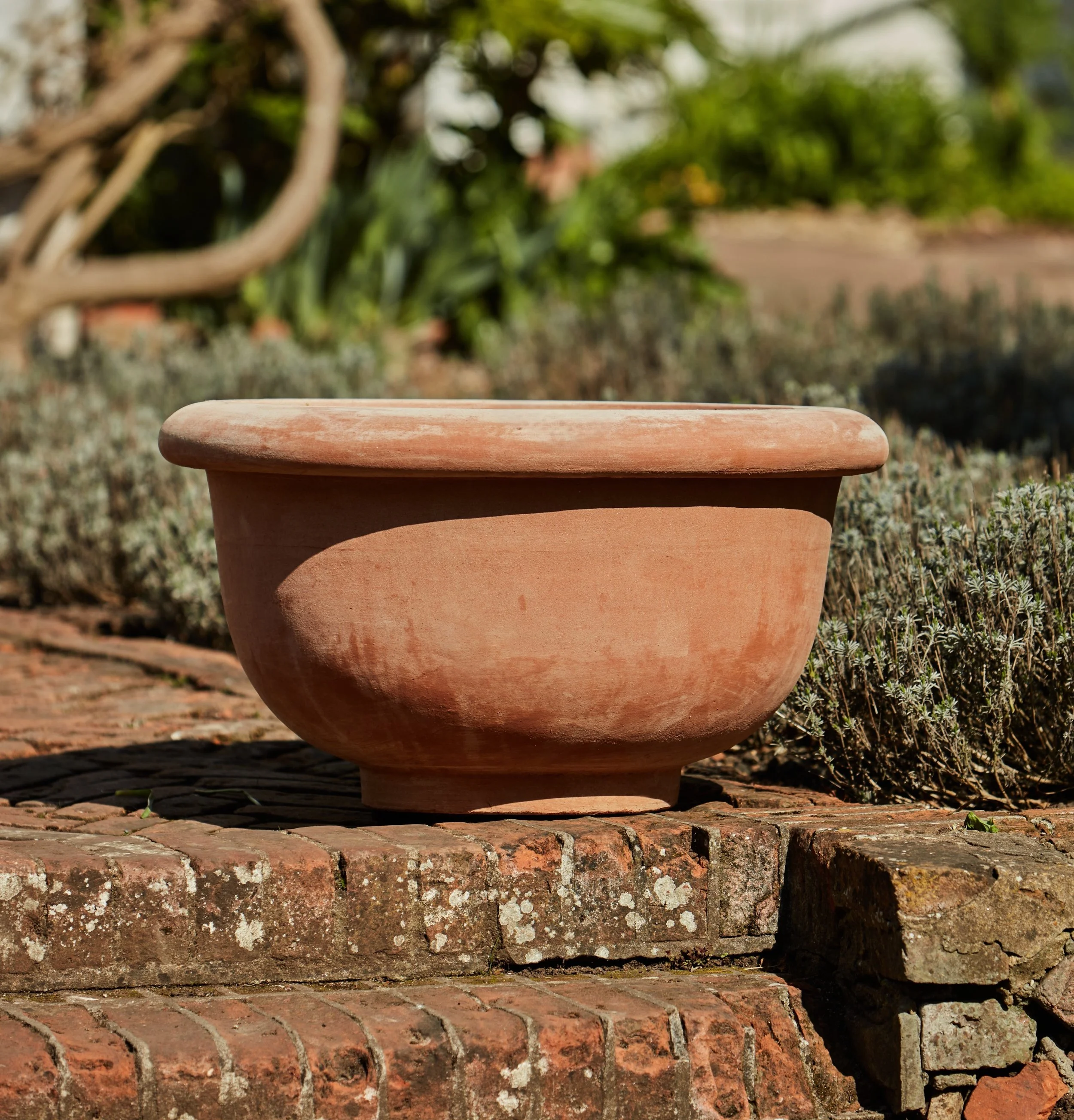 Manos Ciotola Con Bordo 2 .jpg