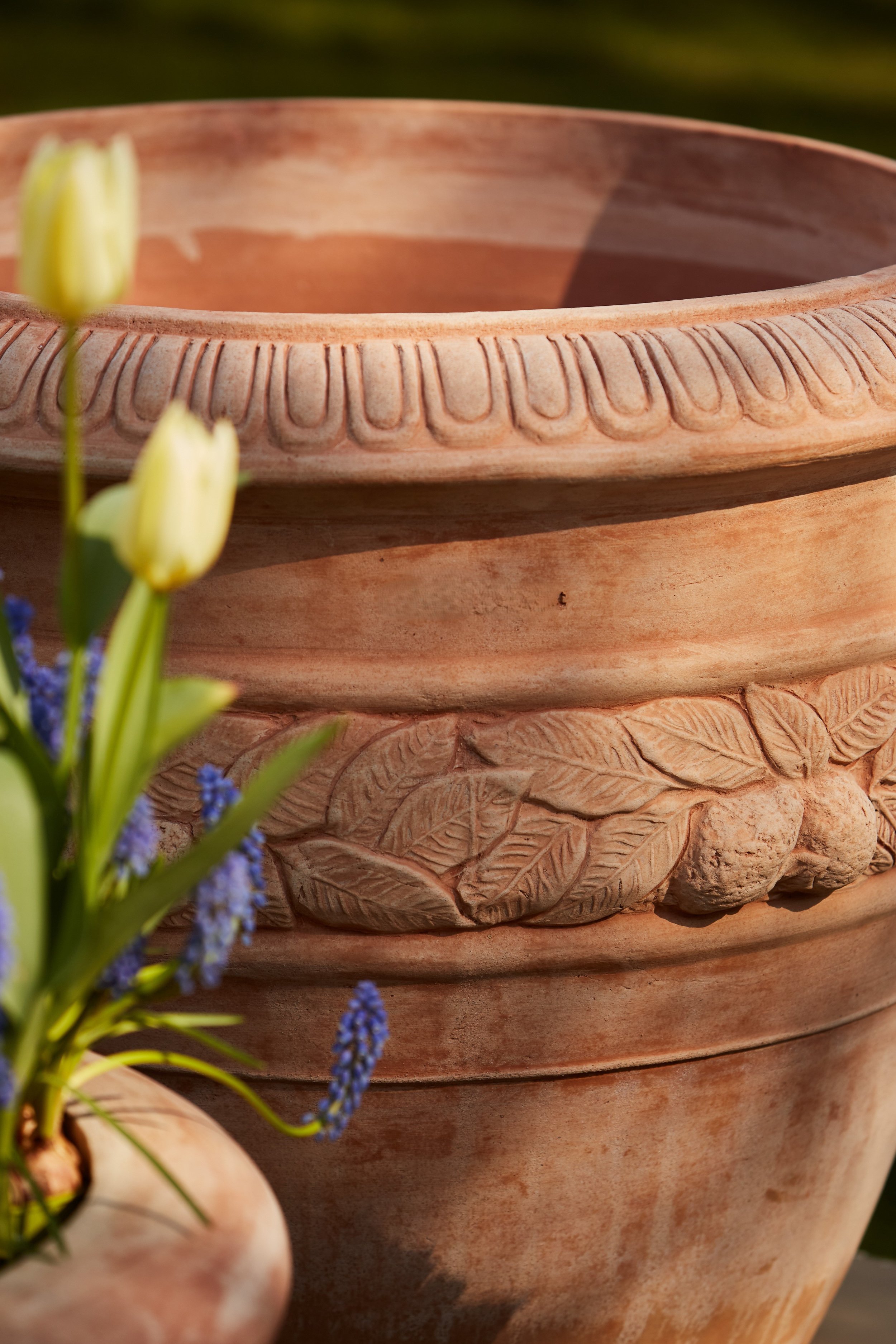 2504VasoToscano _NT_070_High-res.jpg