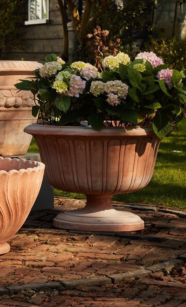 Manos Tazza da Cancelli.4 jpg.jpg