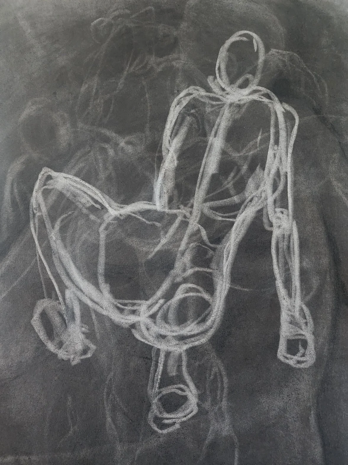 20240315_105403.jpg