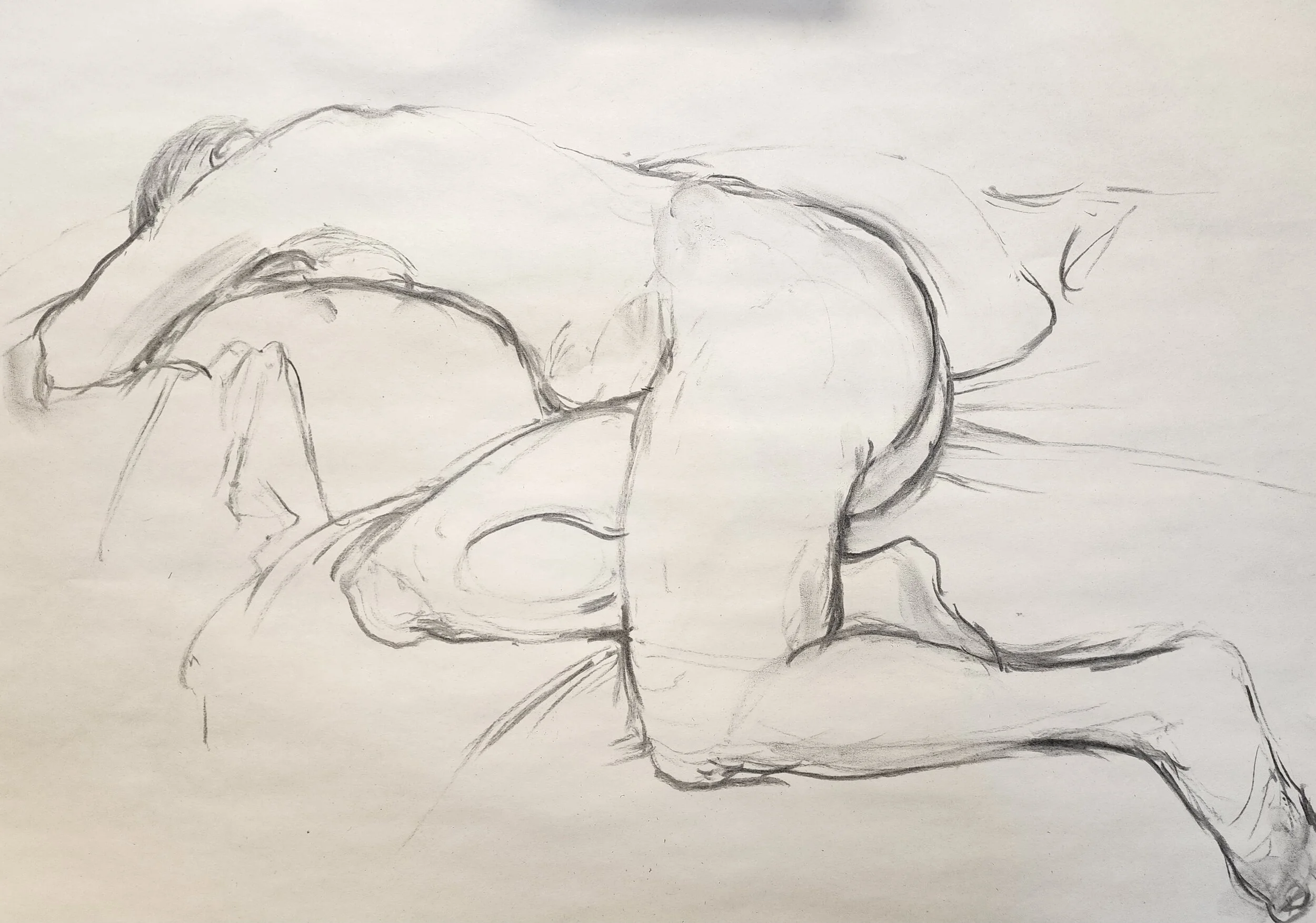 Jamie Reclining.jpg