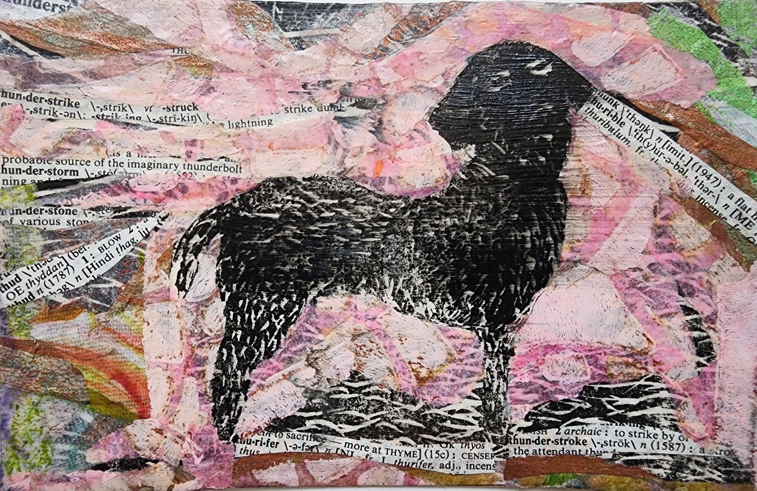 Black Dog Postcard.jpg