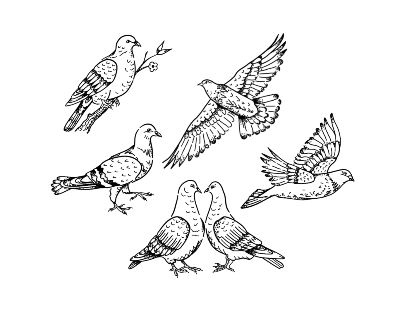 Untitled_Artwork 19.png