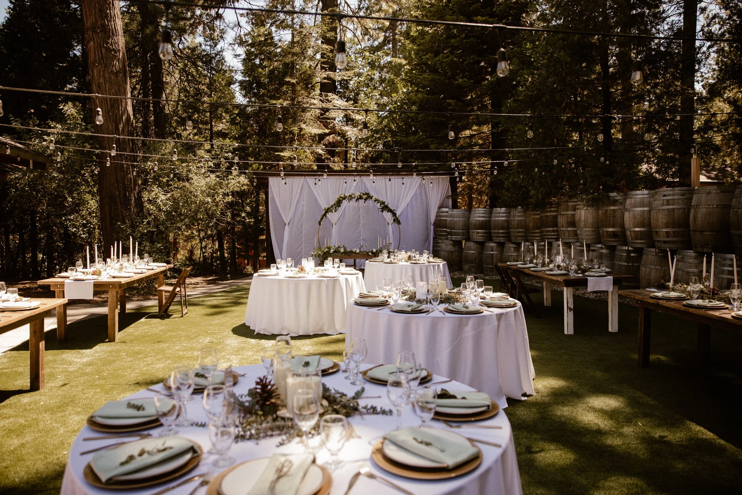 Emotional Wedding Reception. Gruppenfotos mit Trauzeugen und Brautjungfern. Sommer Hochzeit in Arnold, California USA.