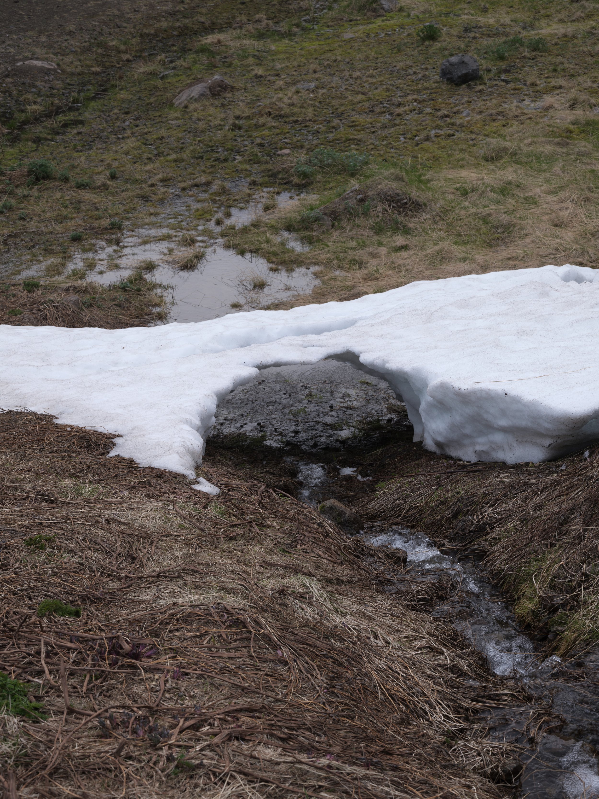 ICELAND - EDITED -2.jpg