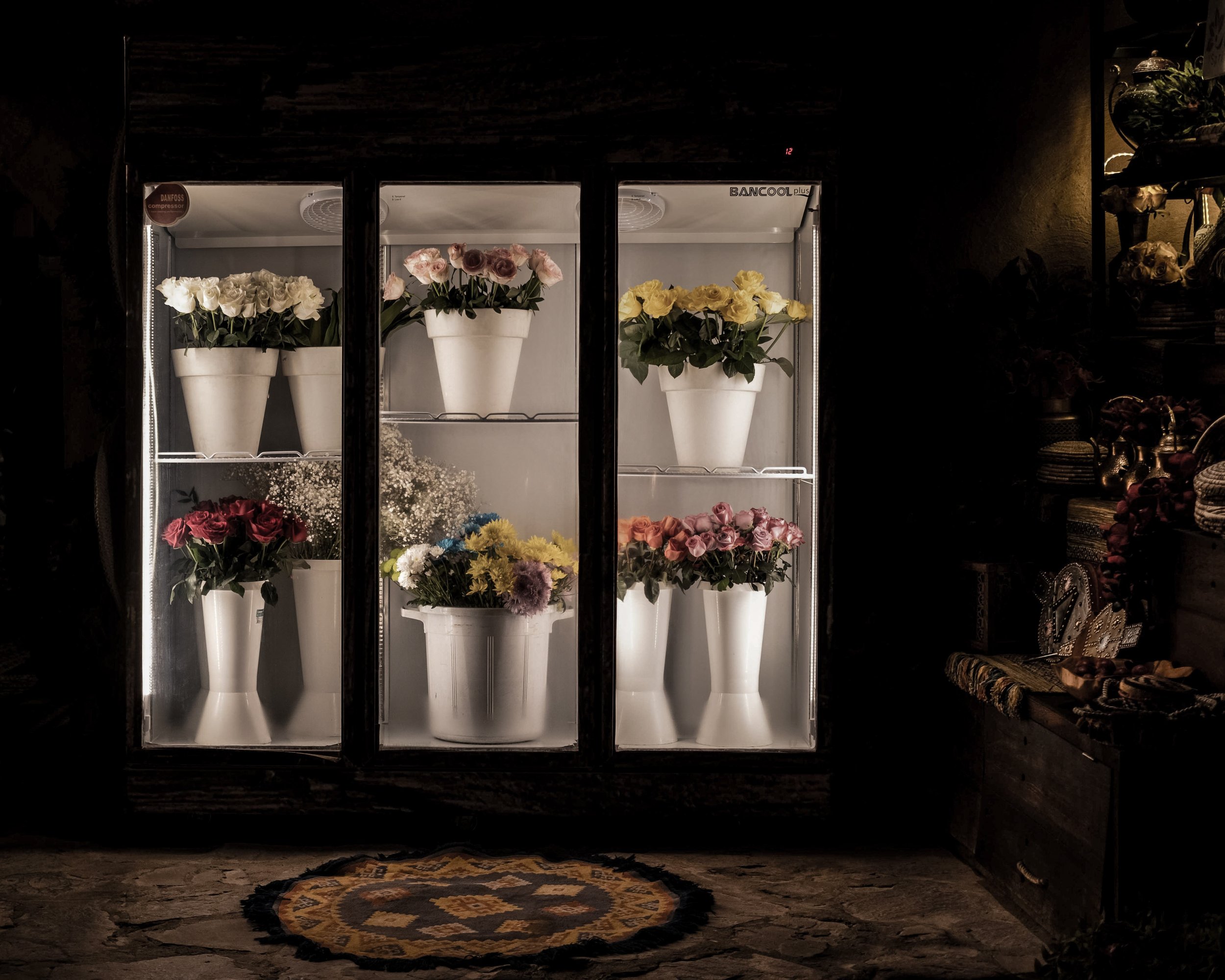 AL-ULA, fleurs-frigo, 2022, photographie couleur, © Malo Legrand