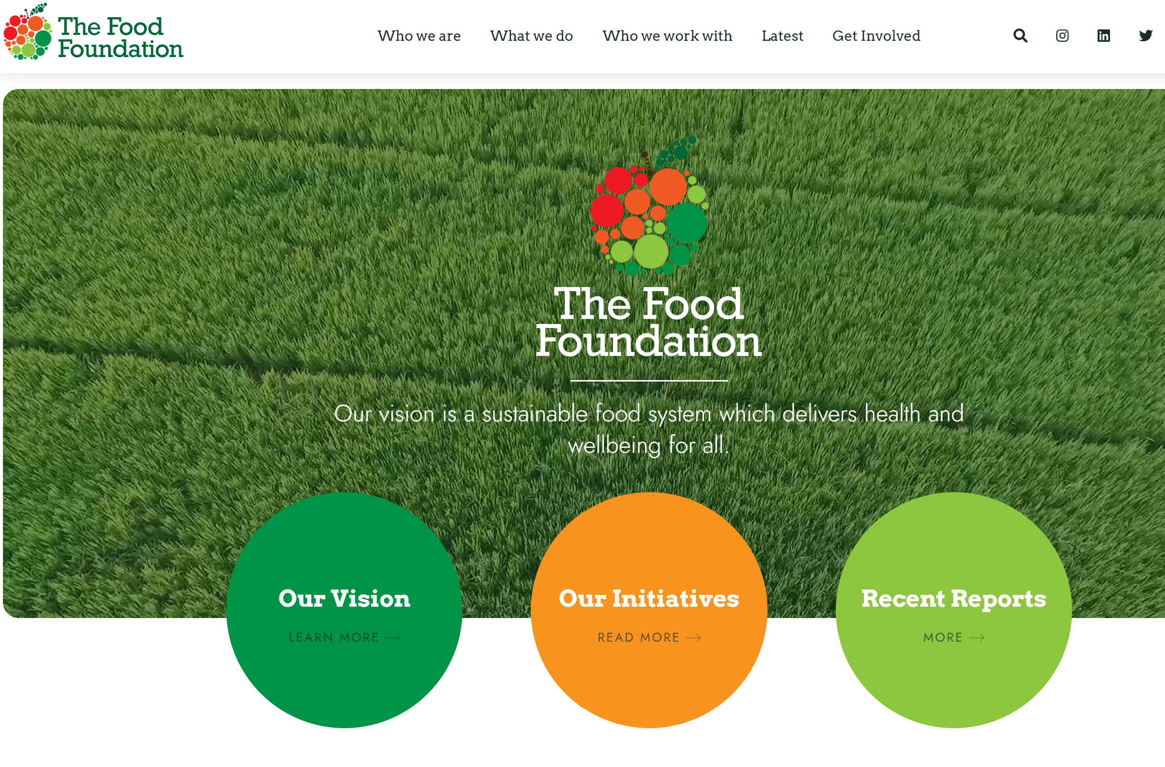 The Food Foundation