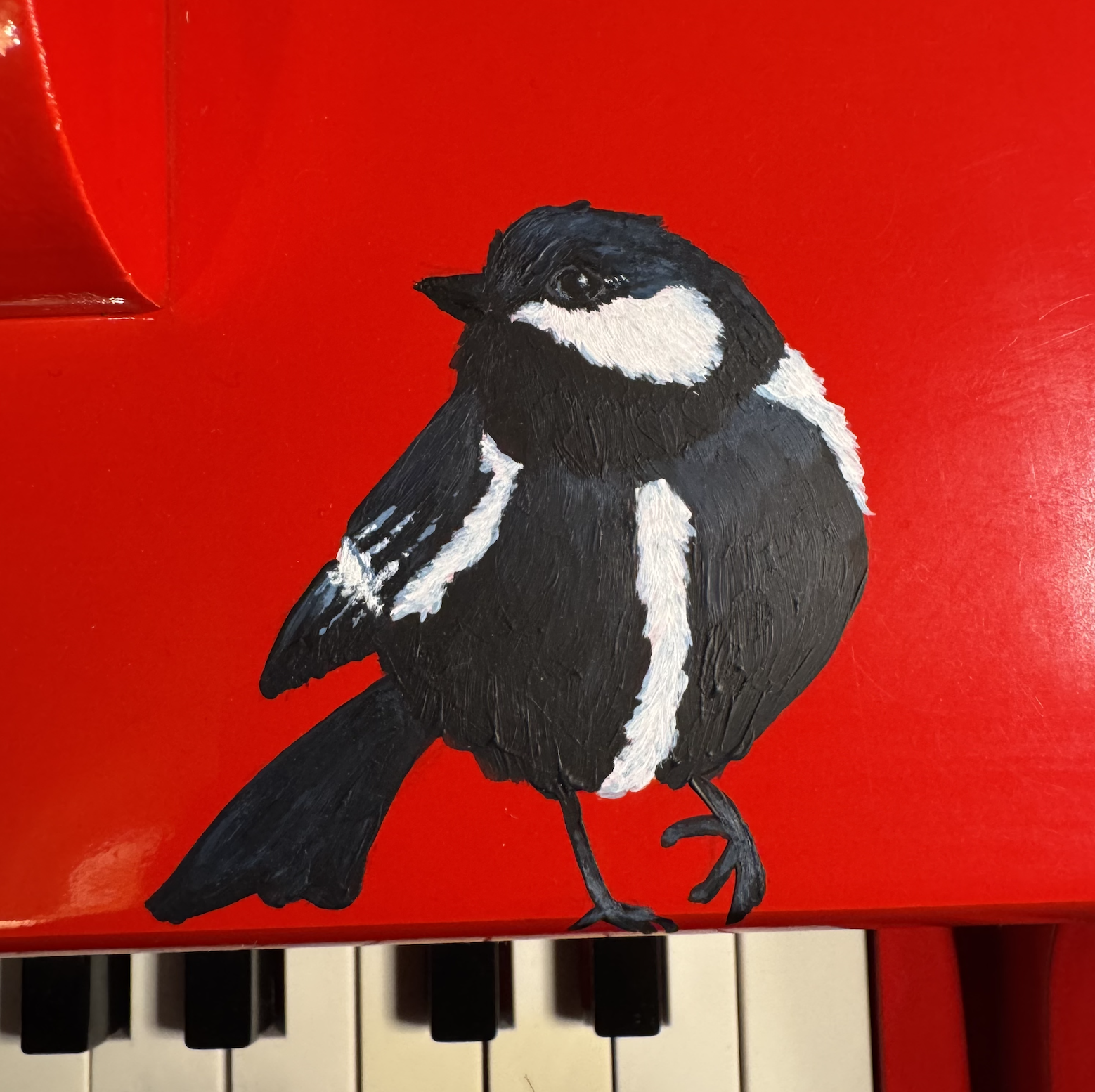 mésange noire.png
