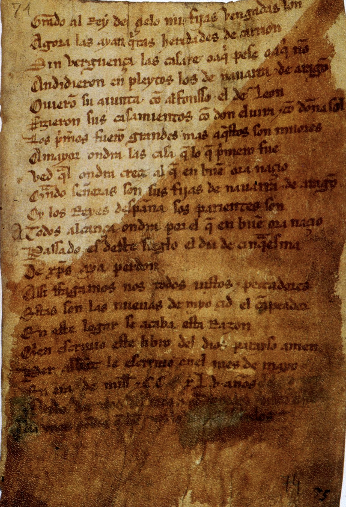 Language</span>
