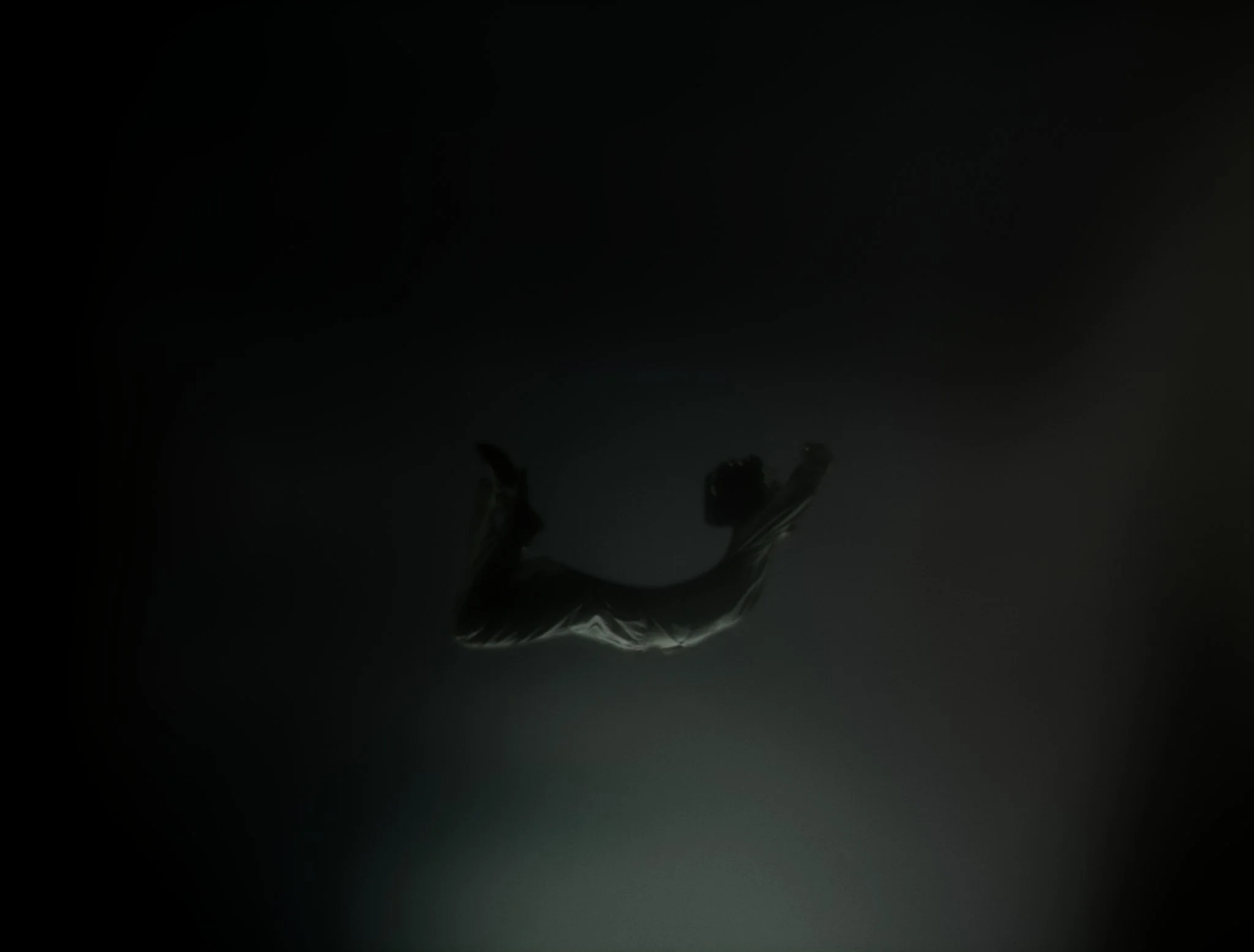 In Dreams Virag Pazmany