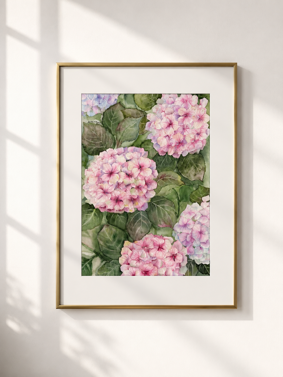 Blooming Hydrangeas
