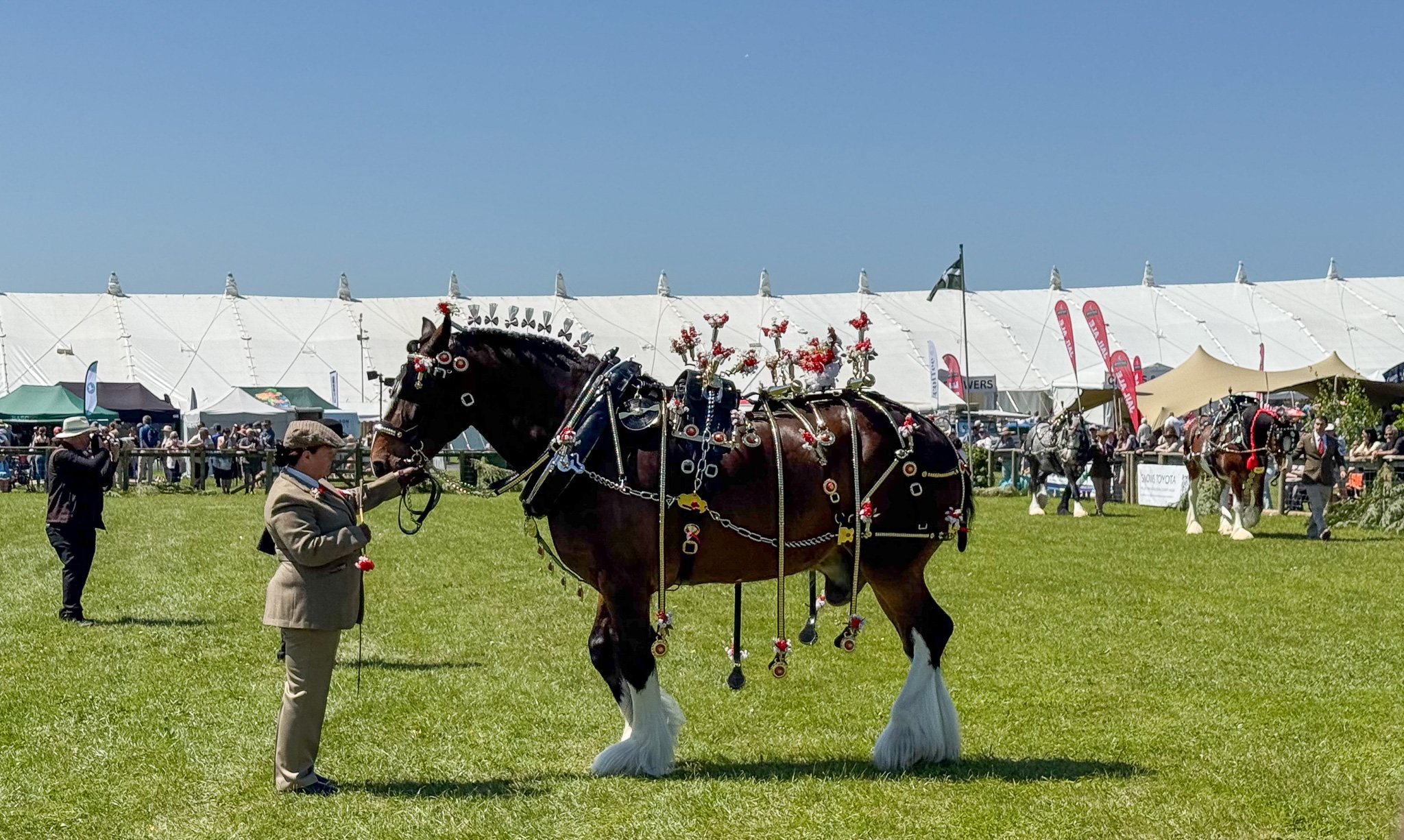Devon County Show 2026: Ultimate Guide to Devon’s Biggest Event (What to Expect)
