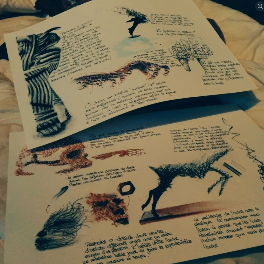 Une affiche contenant plusieurs dessins, dont un crâne d'animal, un cerf, un arbre stylisé, et des illustrations schématiques, accompagnés de textes en français.