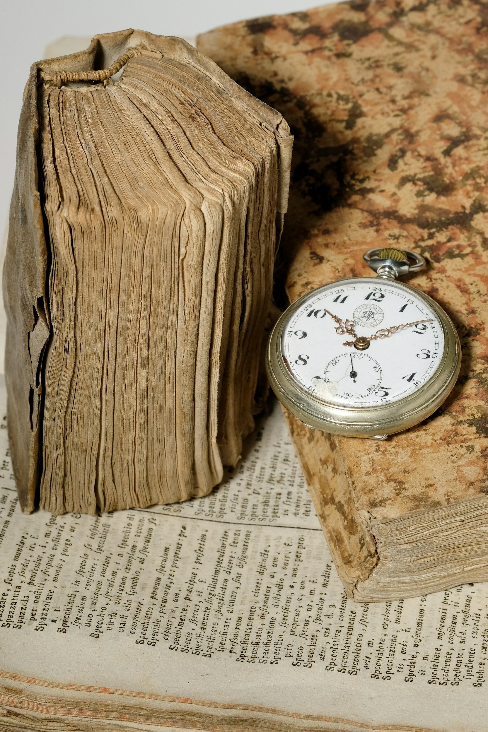 Lebendige Erinnerungen     für                        Generationen – Familien-, Kita- und Hochzeits-fotografie mit Herz