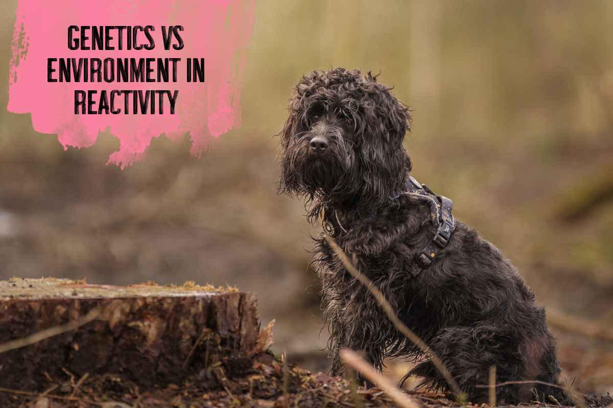 Genetics vs Environment in Reactivity