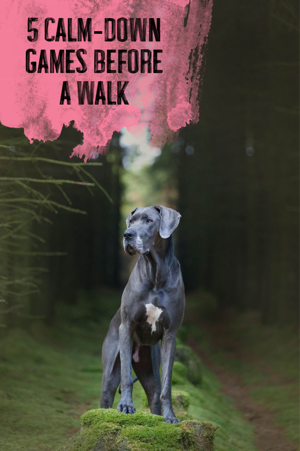 5 Calm‑Down Games Before a Walk