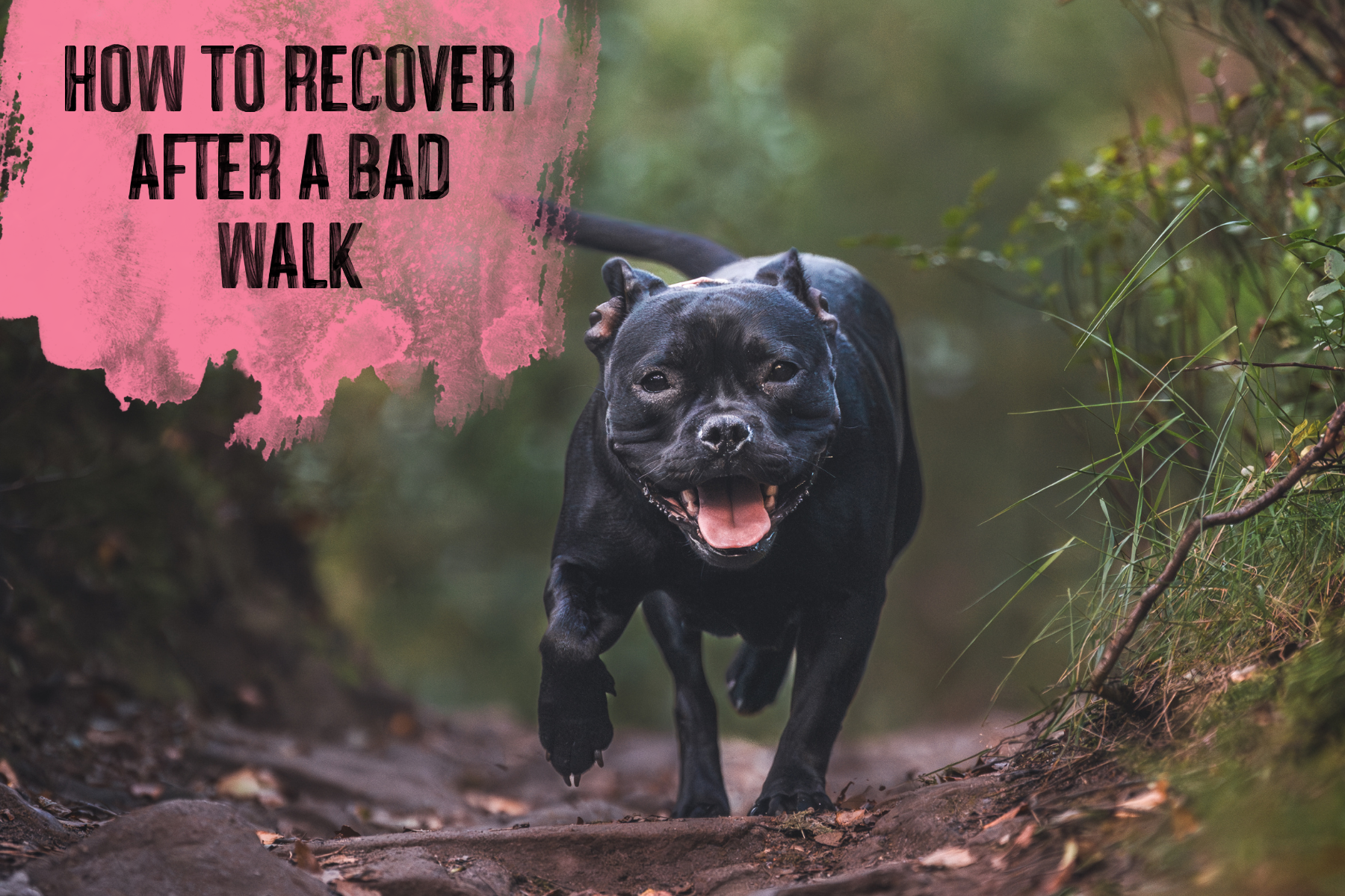 How to Recover After a Bad Walk: Rebuilding Confidence When Everything Goes Wrong