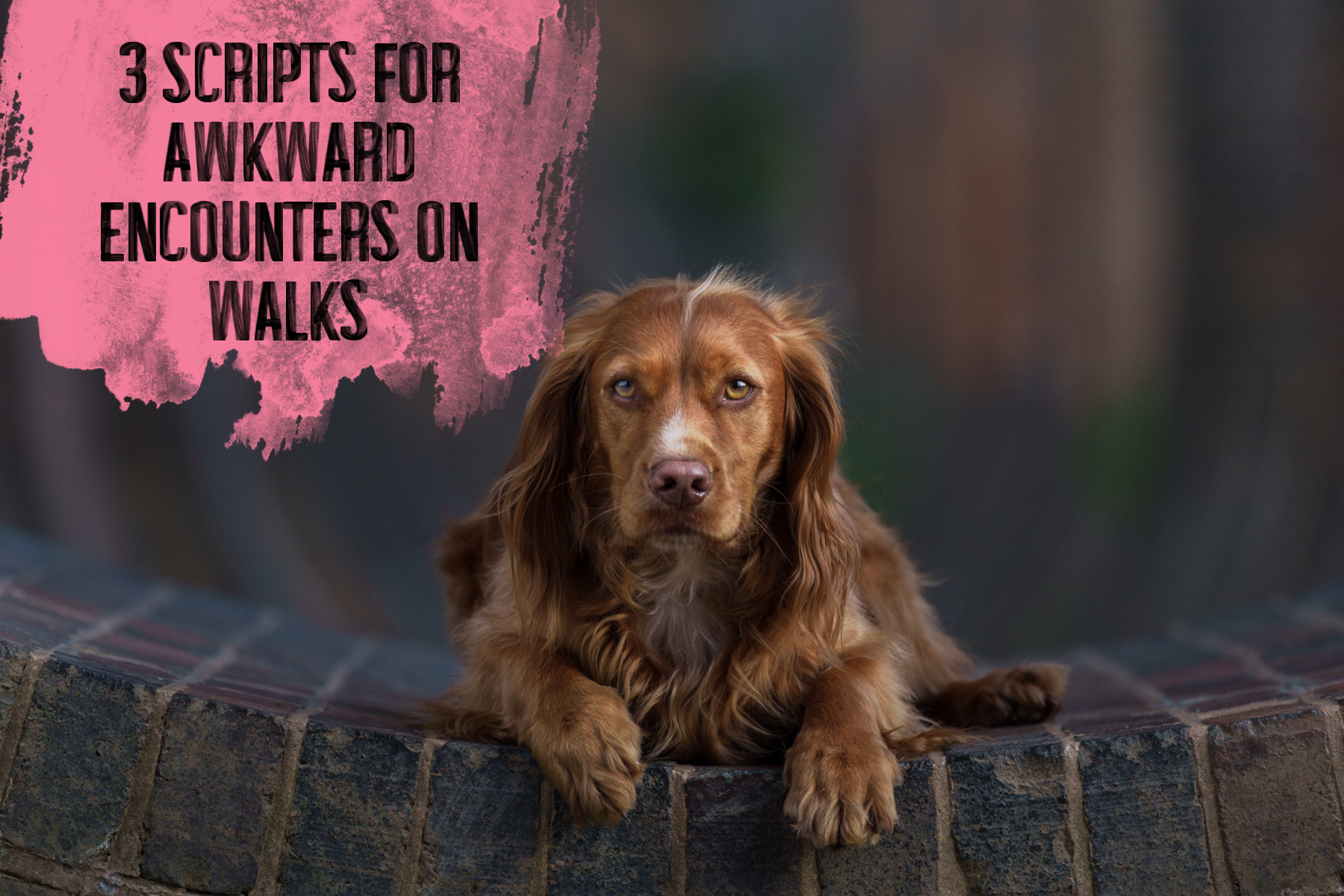 3 Scripts for Handling Awkward Encounters on Walks
