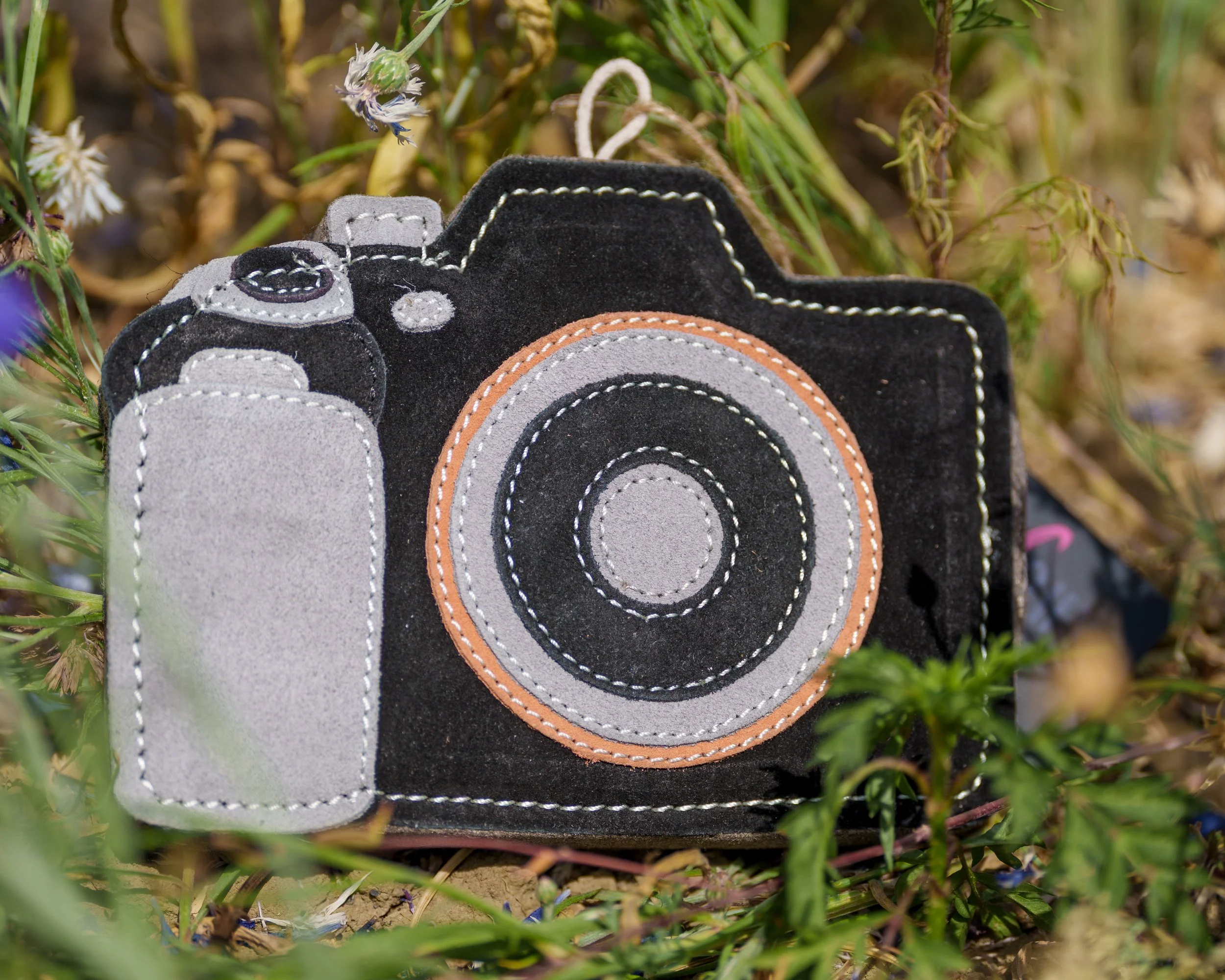 Camera Eco Dog Toy (1).JPG