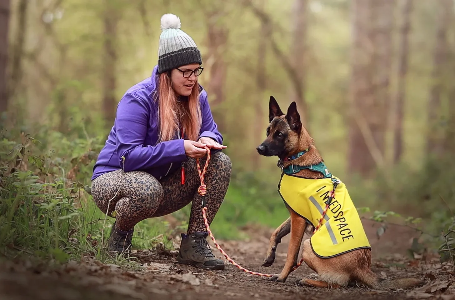 A woman in a purple jacket, leopard-print leggings, and a gray and black knit beanie kneels on a forest trail, holding a leash attached to a Belgian Malinois wearing a yellow vest with the words "I Need Space" on it.