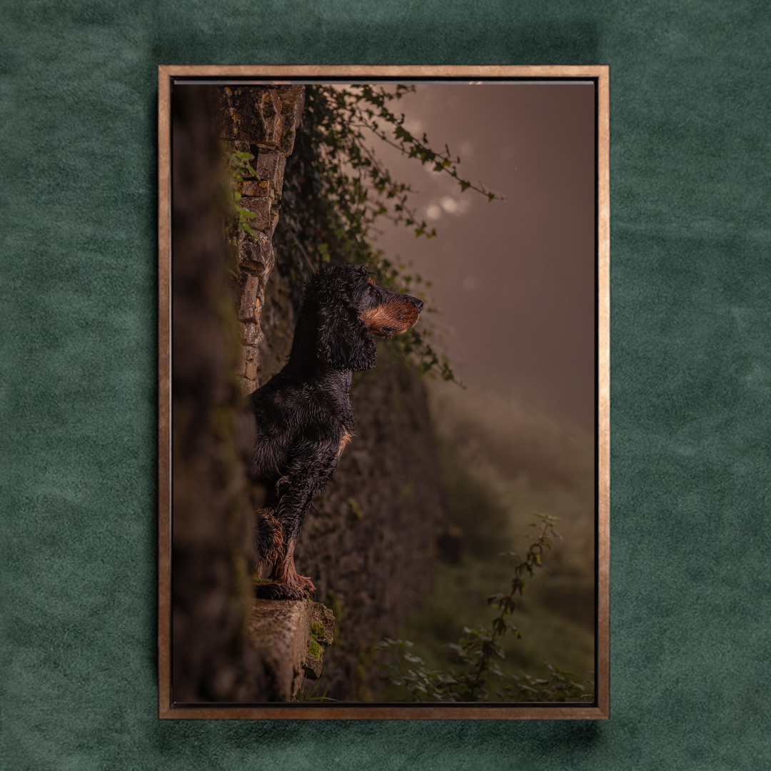 JARVIS TRAY FRAME.png