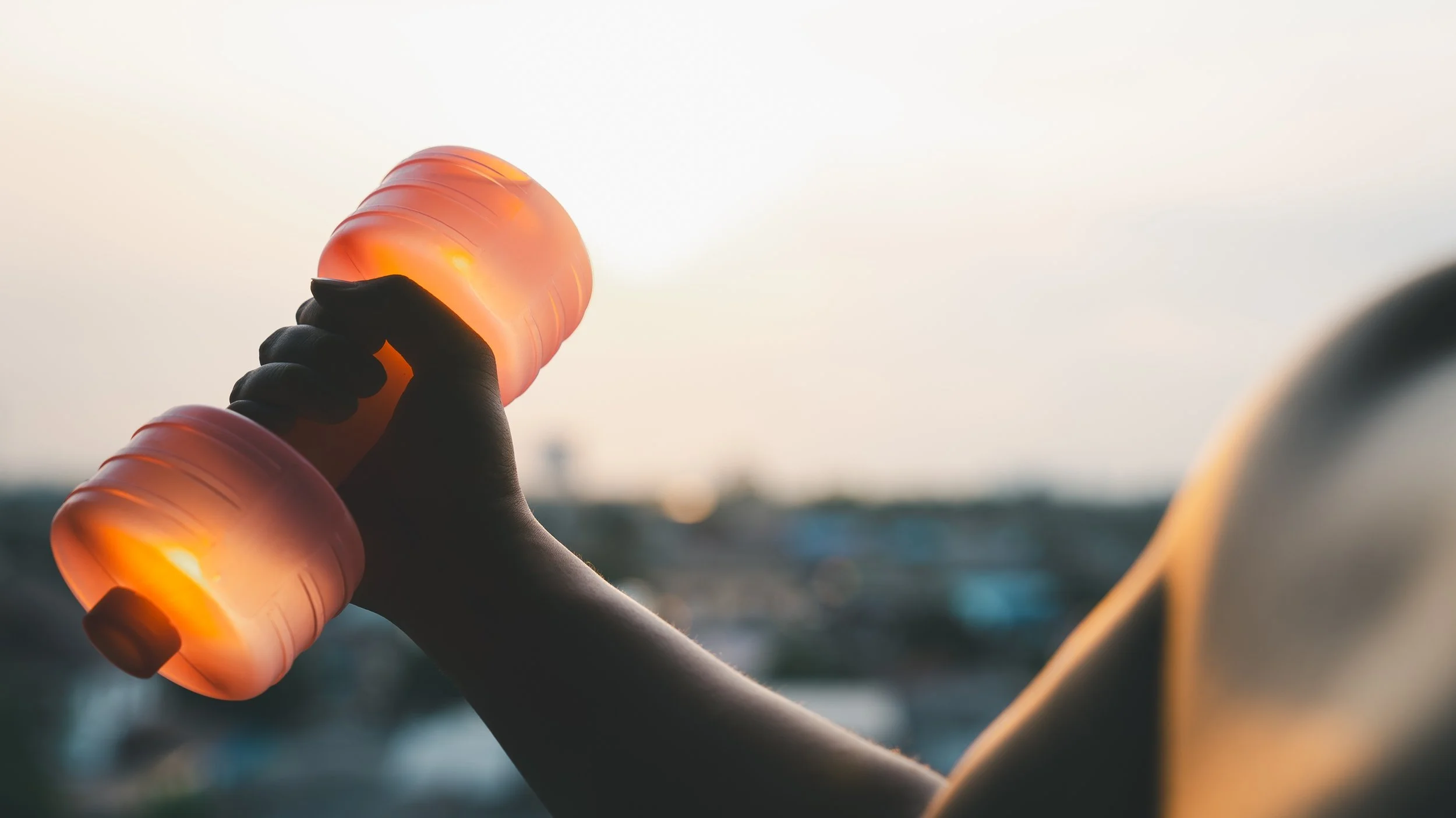 Workshops, training sessions & facilitated sessions