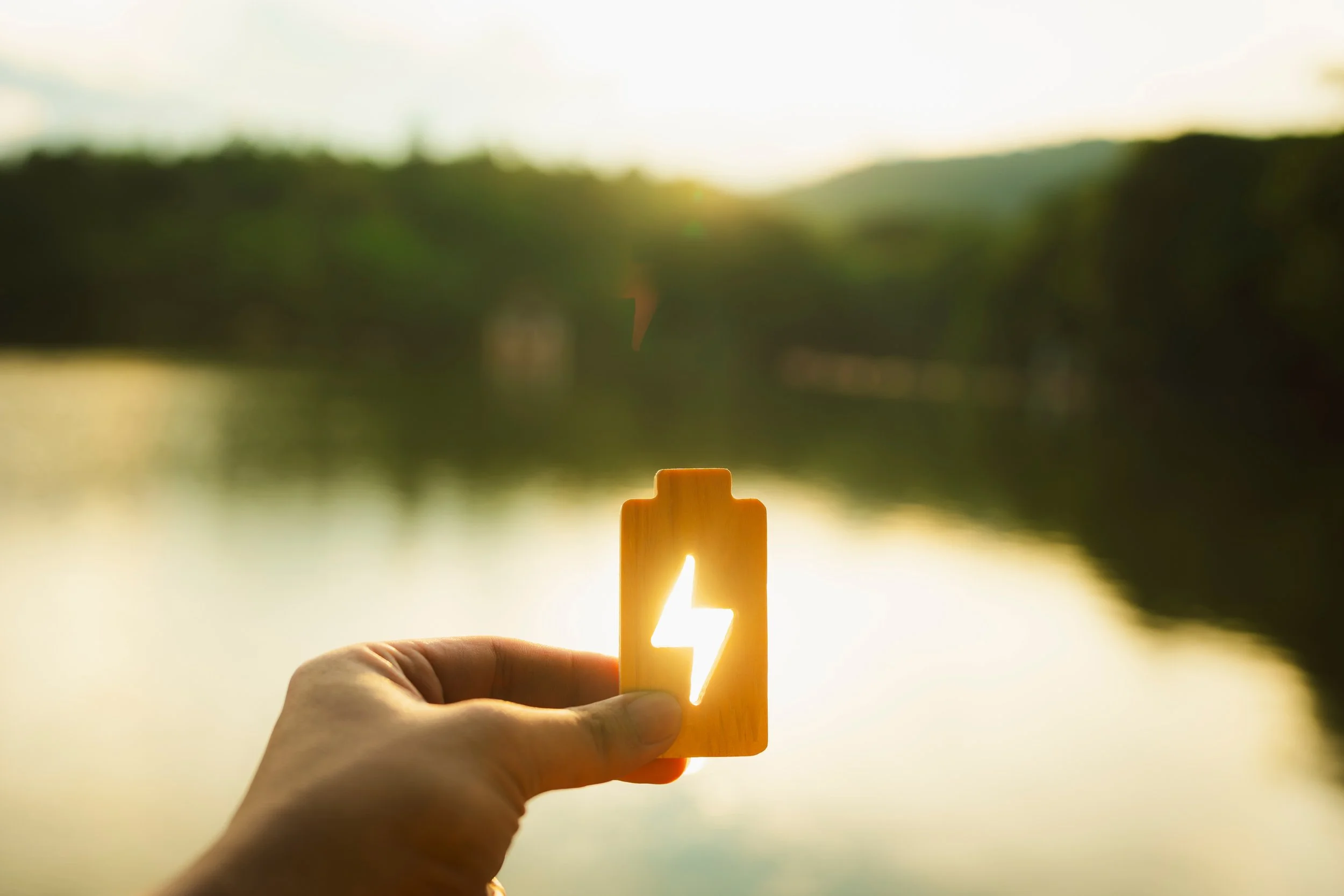 Individual assessments & coaching