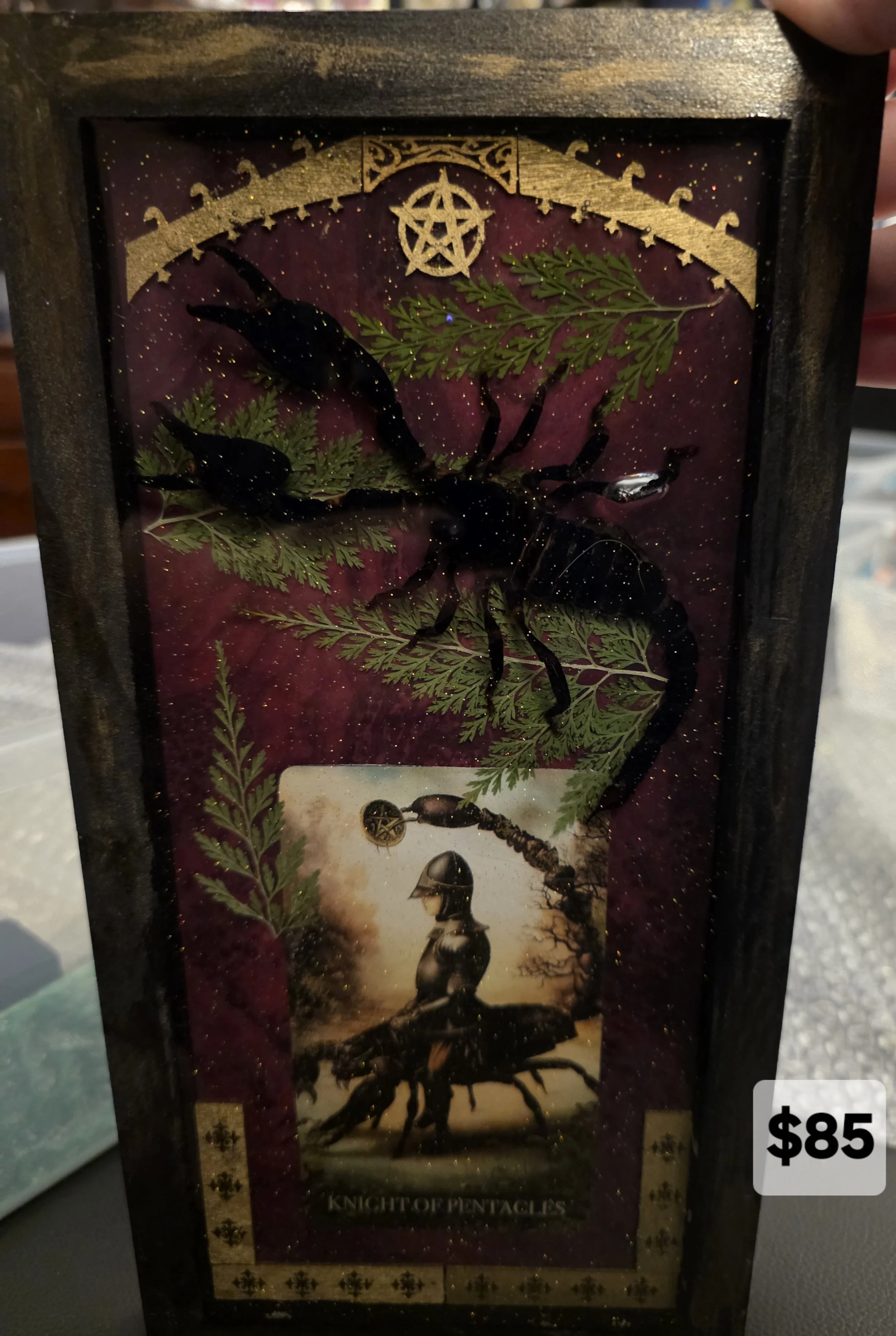 Knight of Pentacles