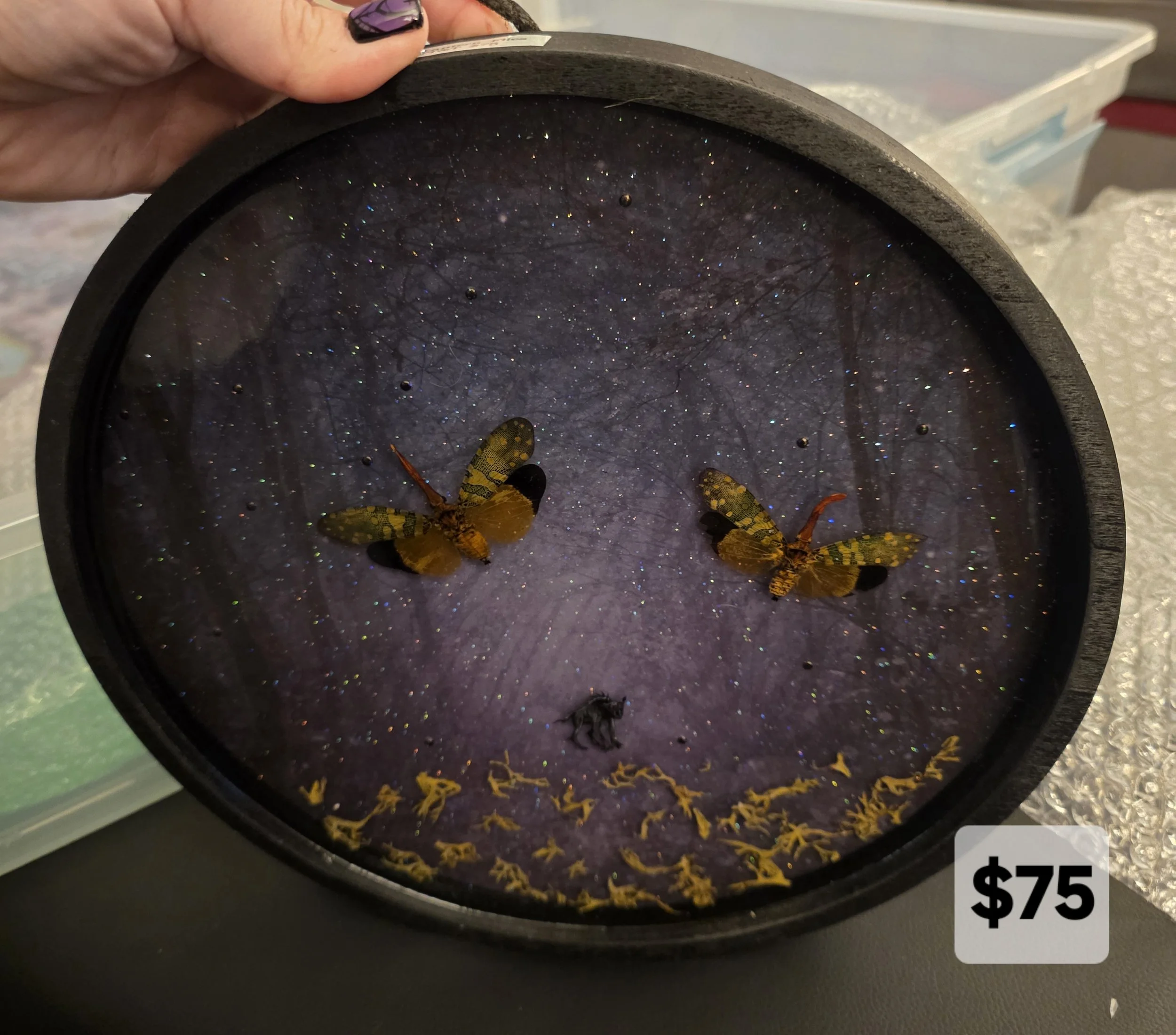 Lantern flies with Chupacabra