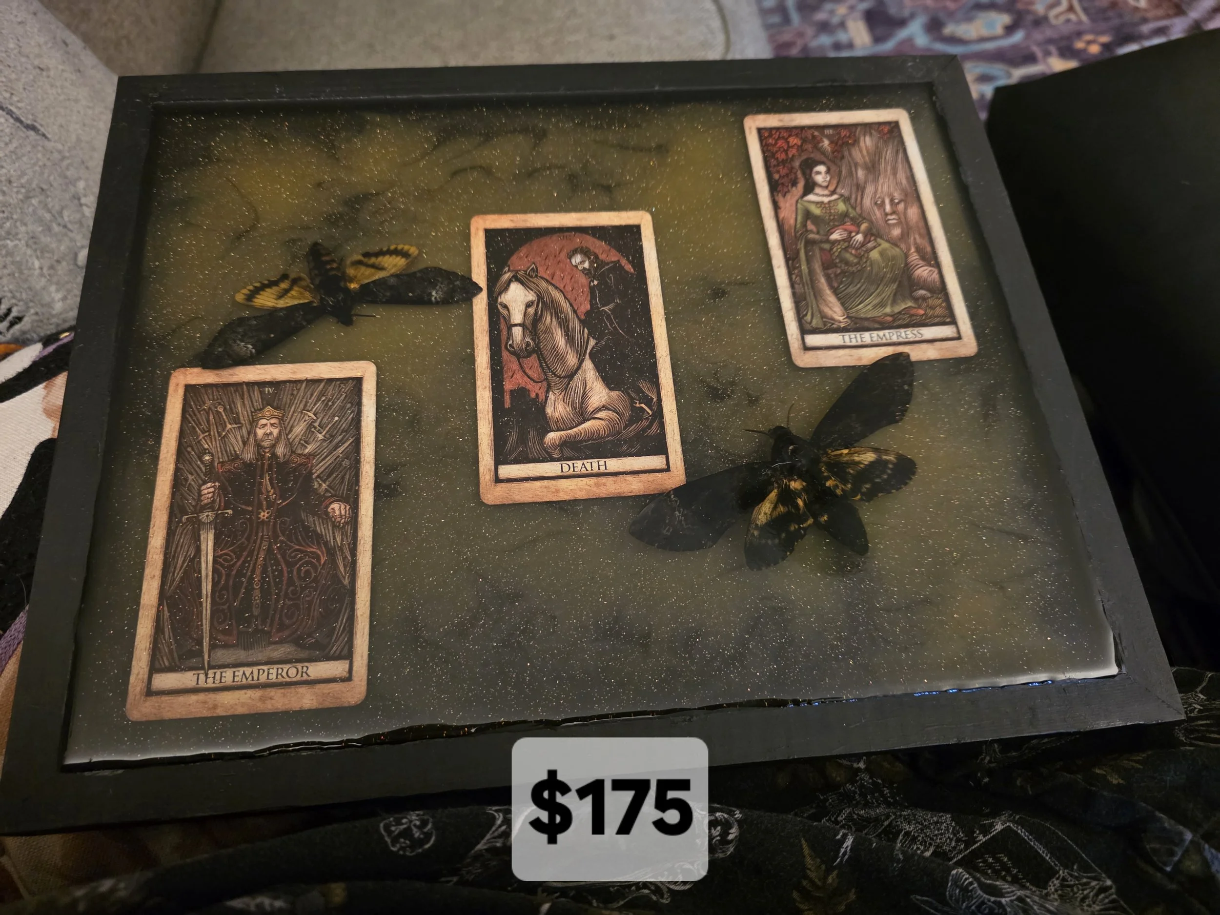 Death's Head Moths