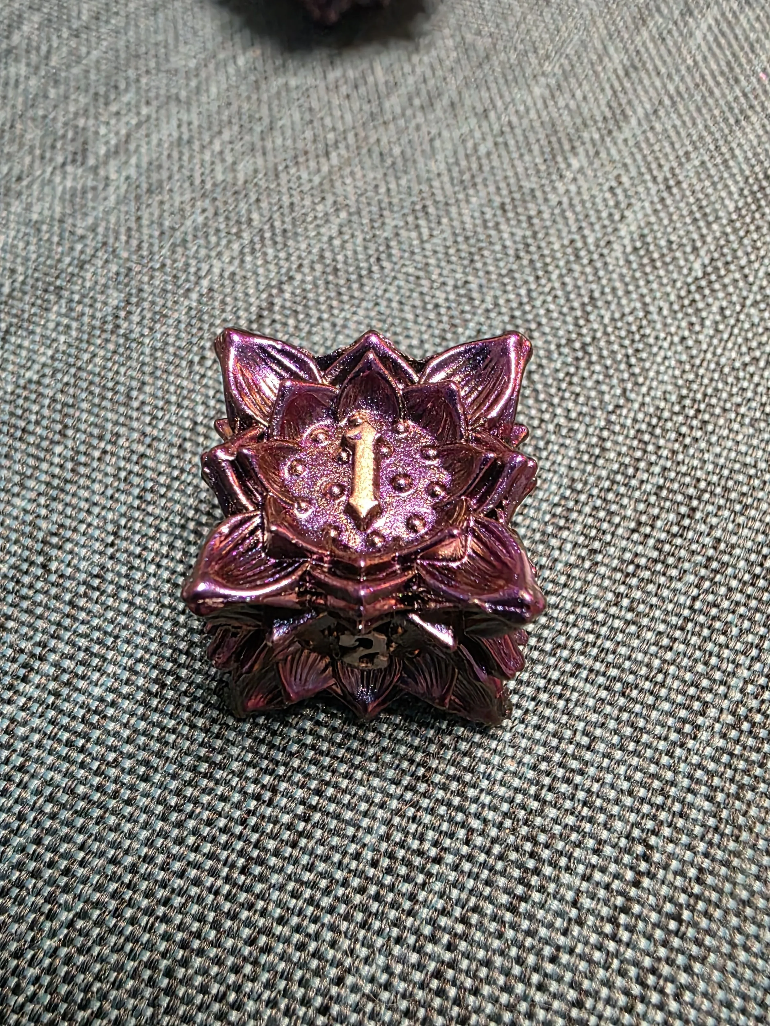 20260226_172215 (1).jpg