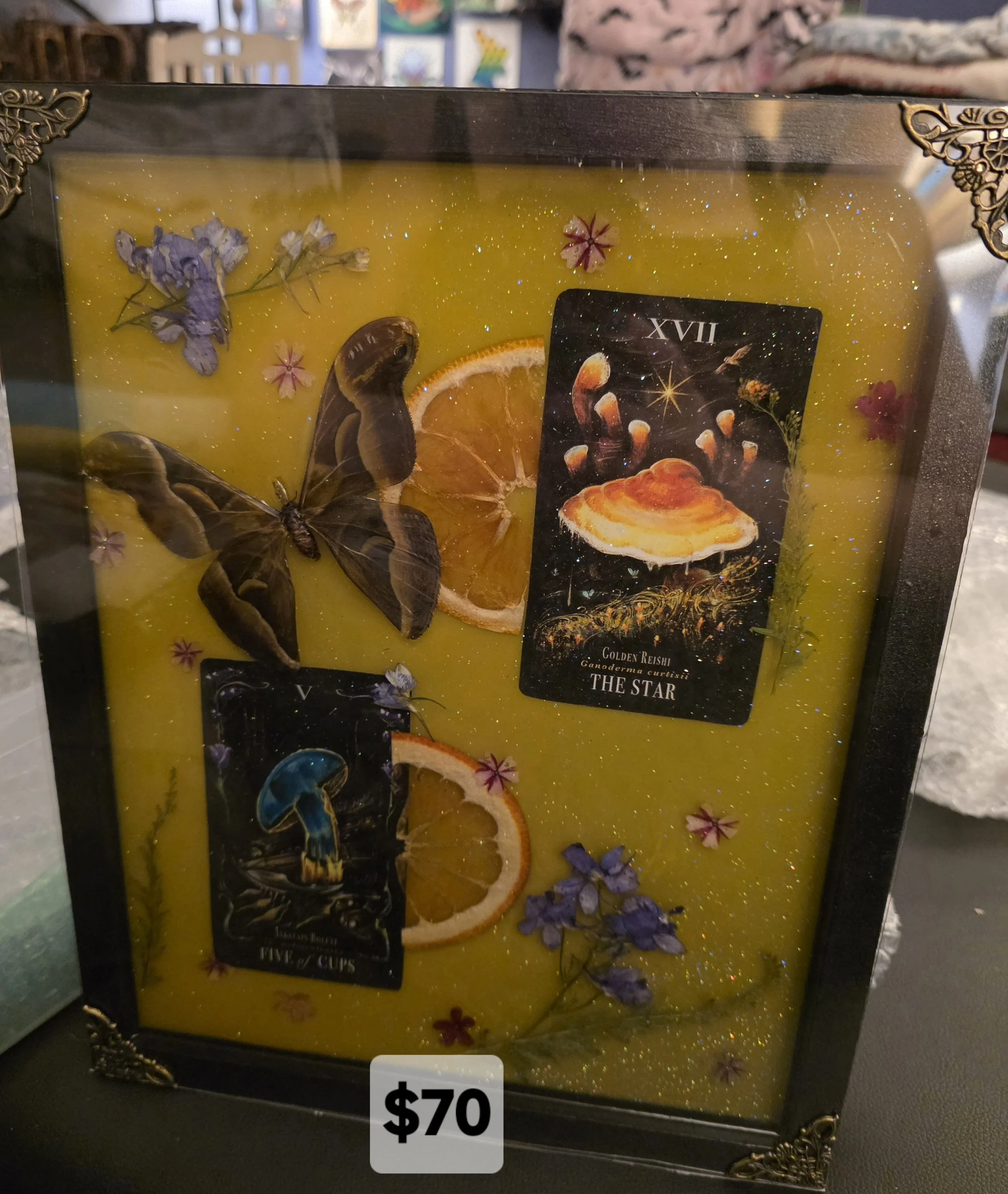 Cups and Star