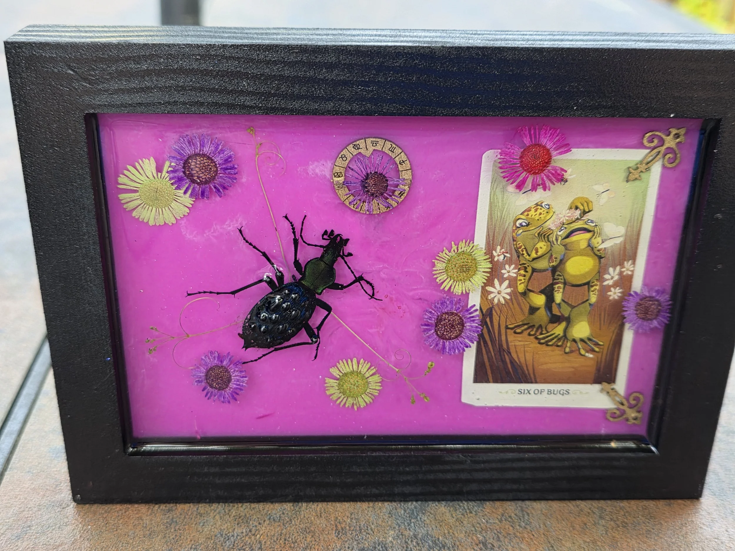 Six of Bugs