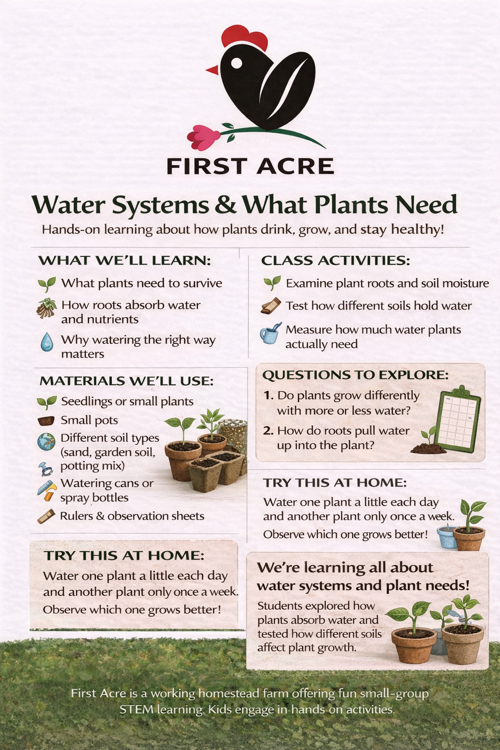 Water Systems & Plant Needs