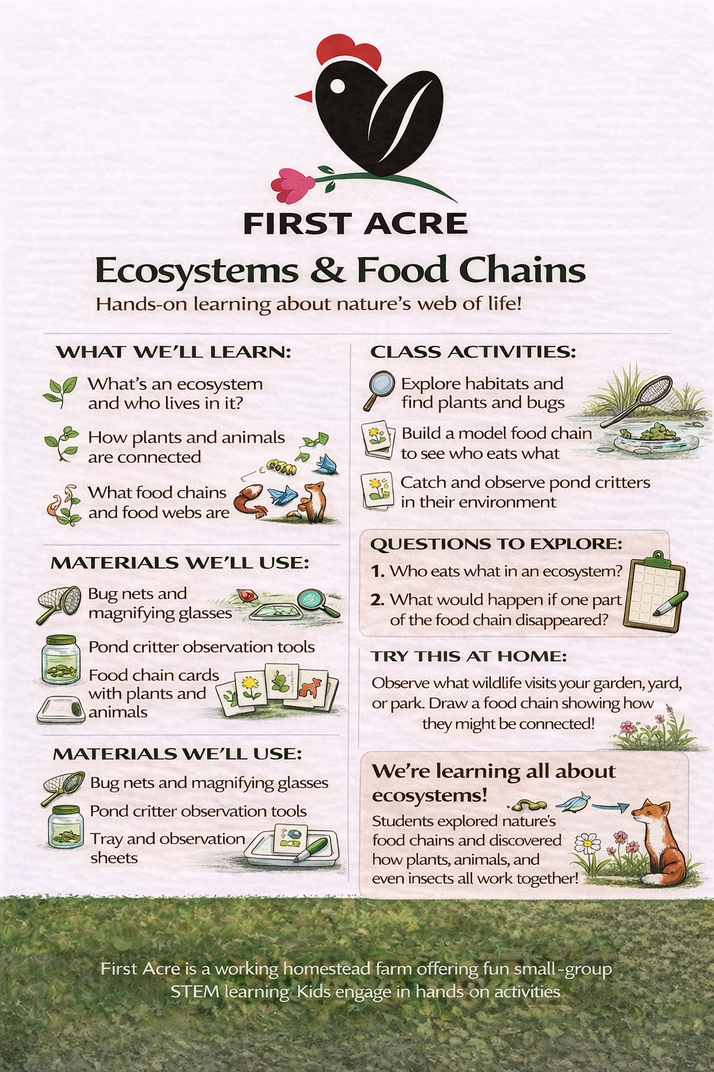Ecosystems & Food Chains Class