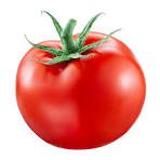 Tomatoes - COMING SOON IN SPRING!