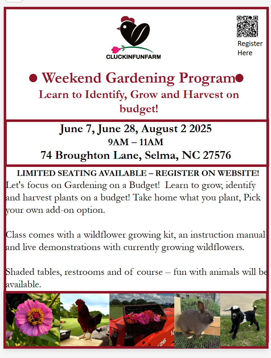 Weekend Gardening on a Budget!