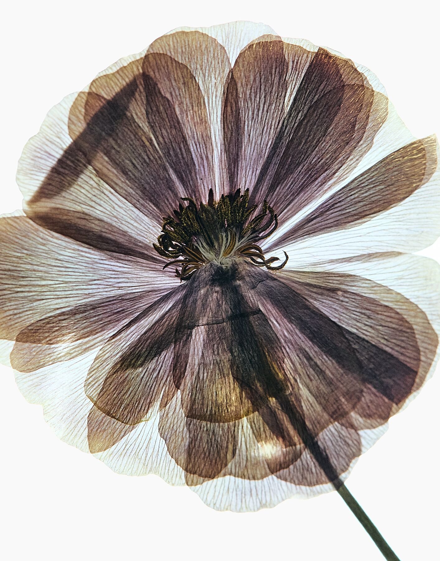 9931564.jpg
