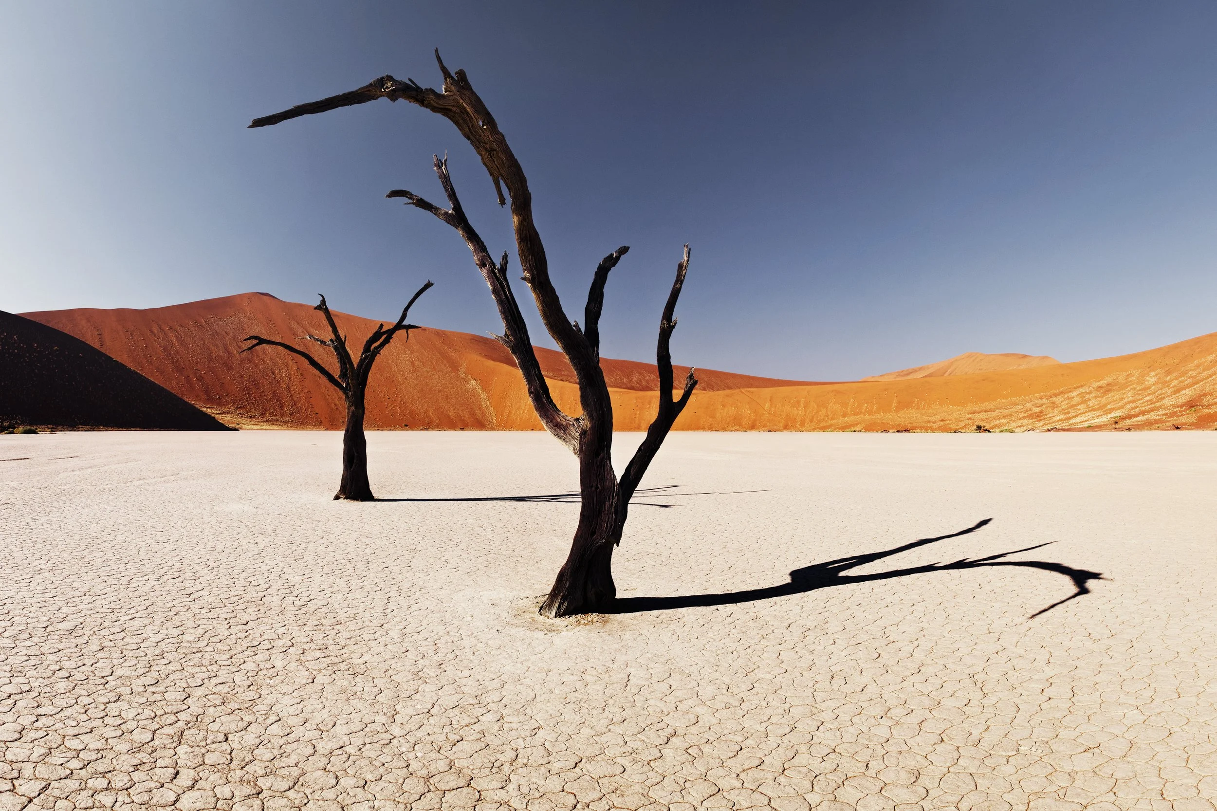 Deadvlei, Namibia