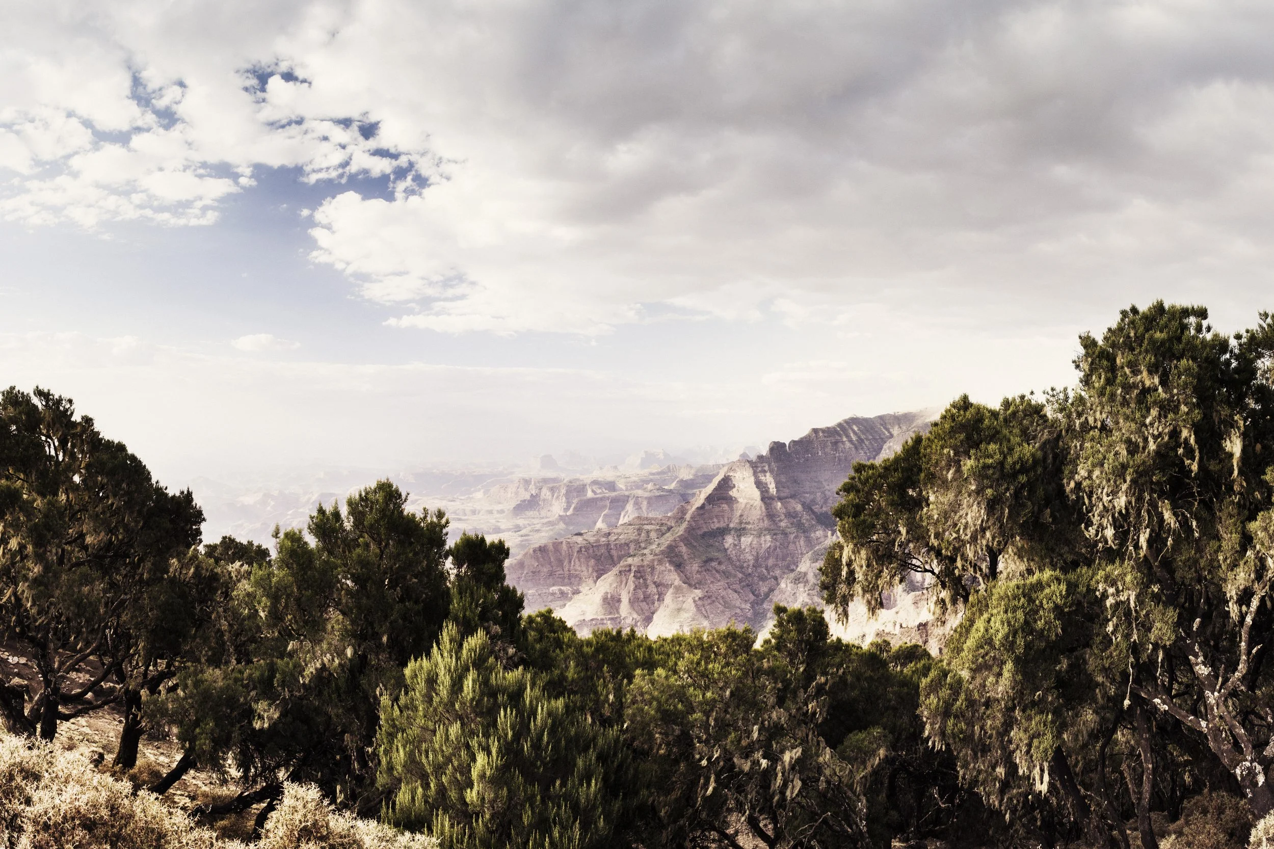 Simien Mountains, Ethiopia