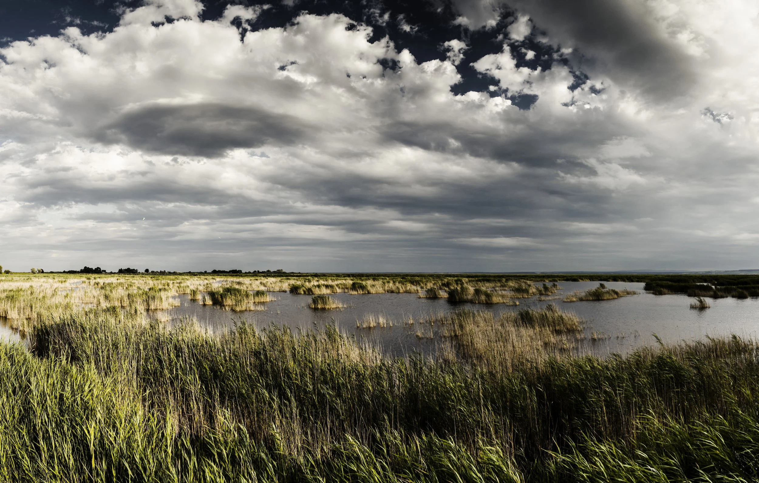 Austrian Wetlands