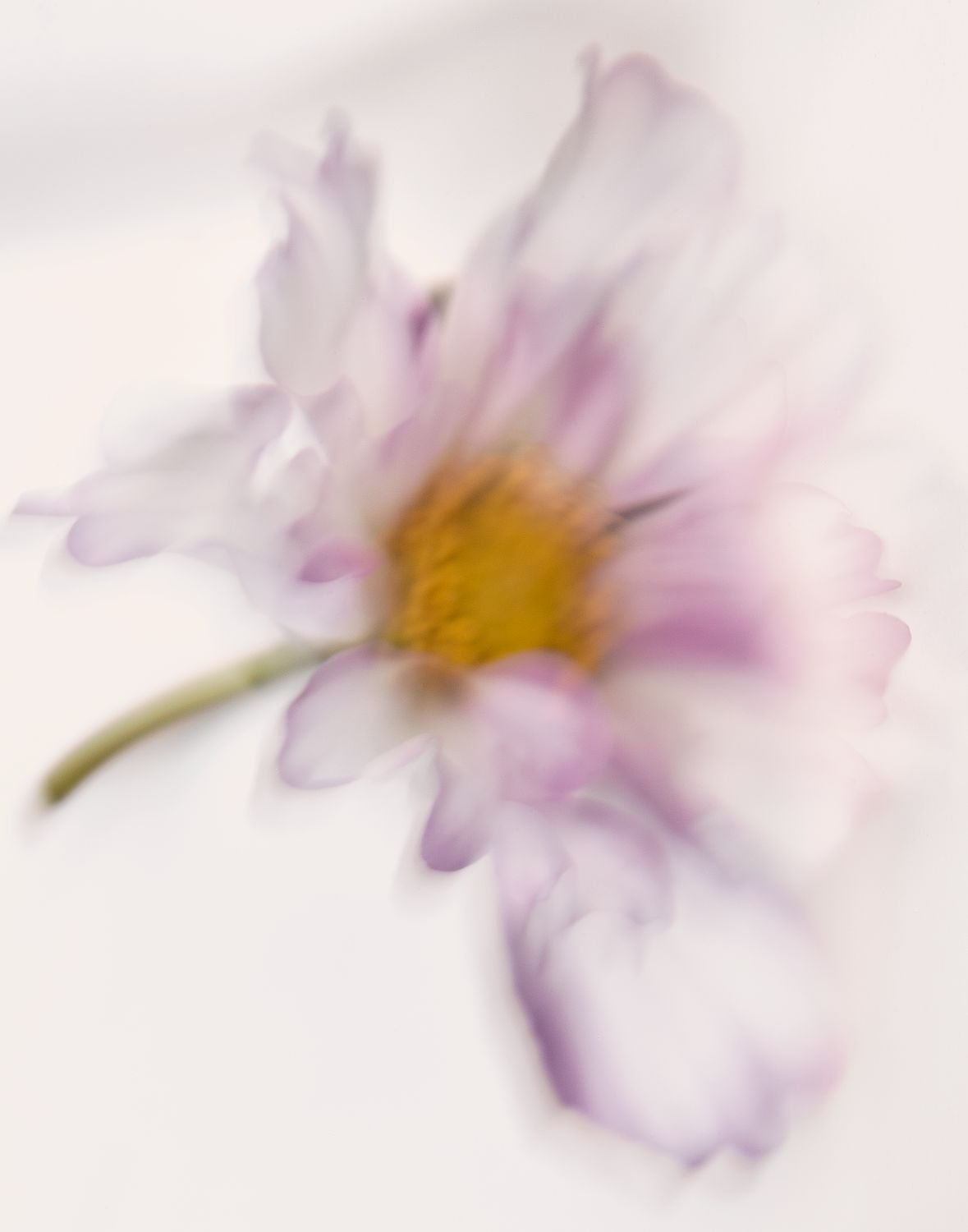 artwork_6adb4e8d.jpg
