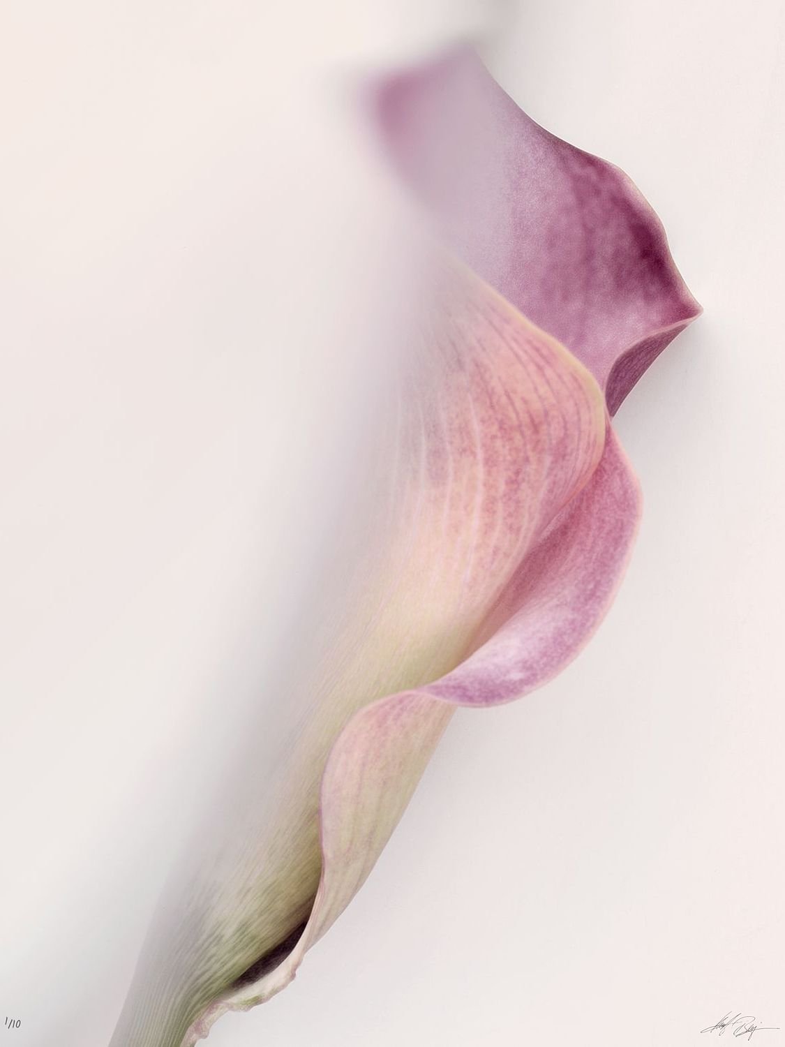 preview_8f2668b5_09d1d07f.jpg