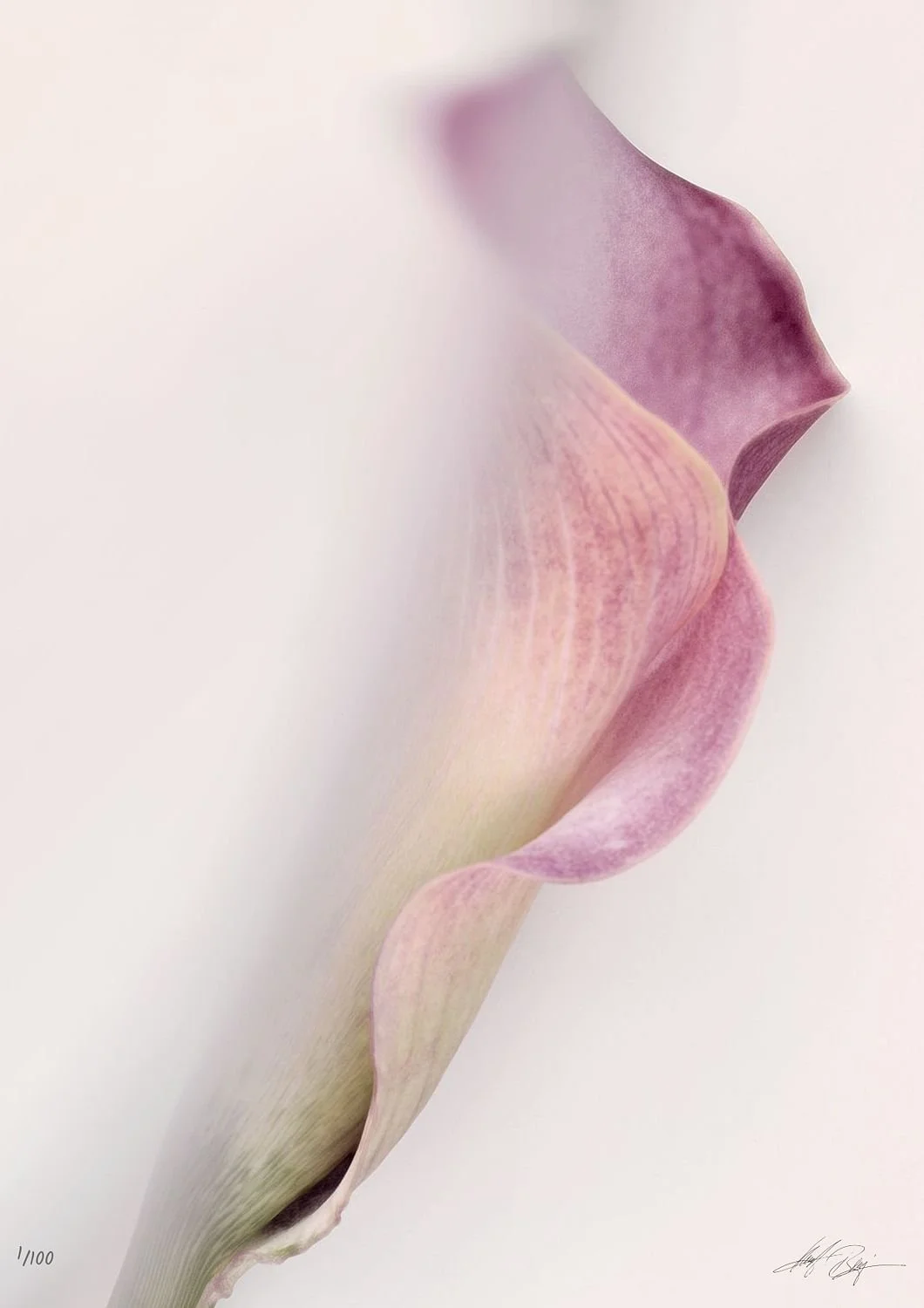 preview_6b5a72cb_1d1a3131.jpg