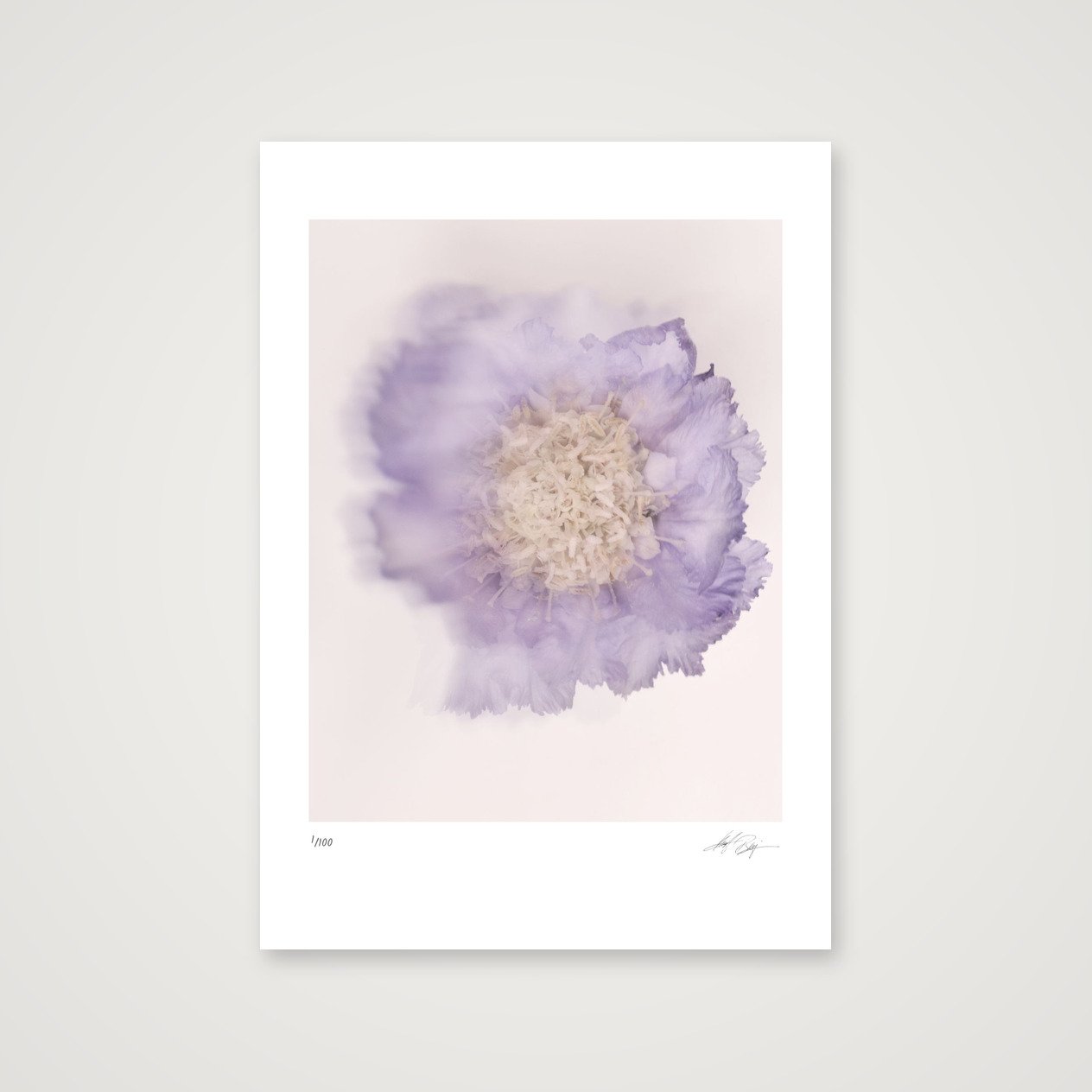 shot_table_7efd6ad7_3b3a293b.jpg