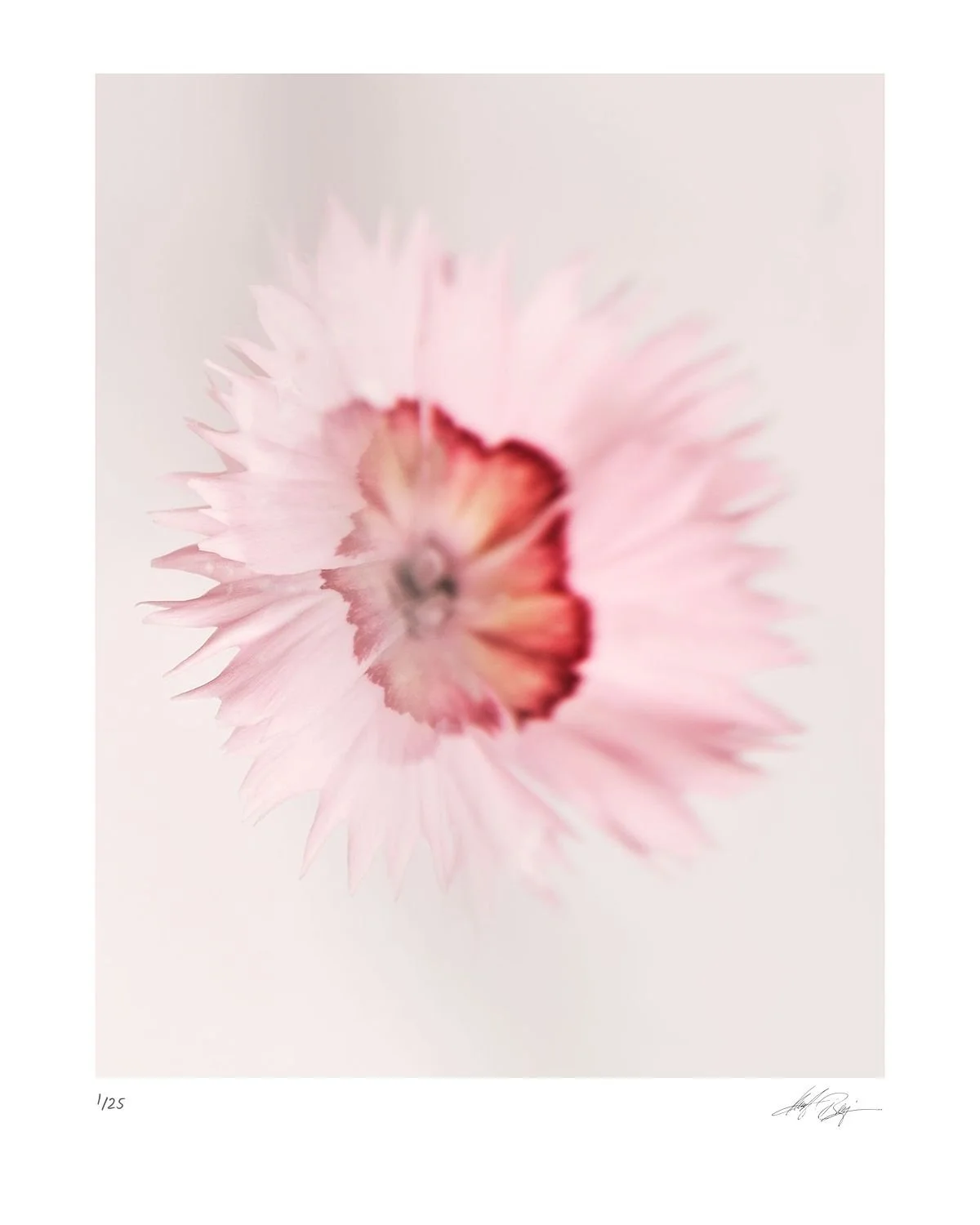 preview_1d9710a9_edbc60e6.jpg