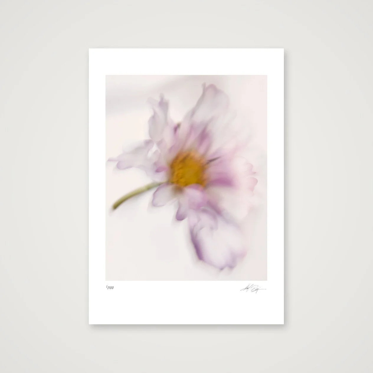 shot_table_70dbd1a6_948f3f3f.jpg